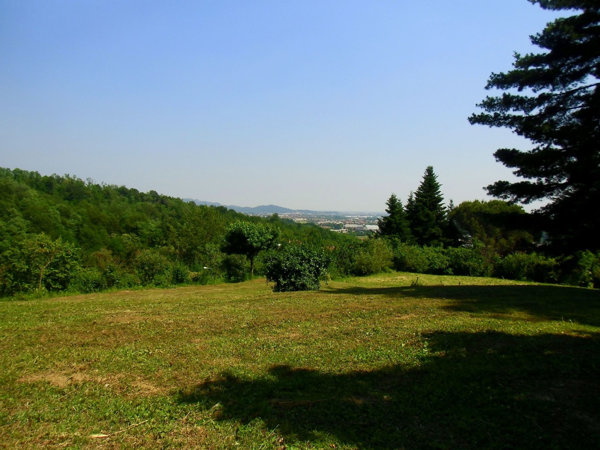 TaiObe - Fröhliches Partyhaus-Image-tags.info