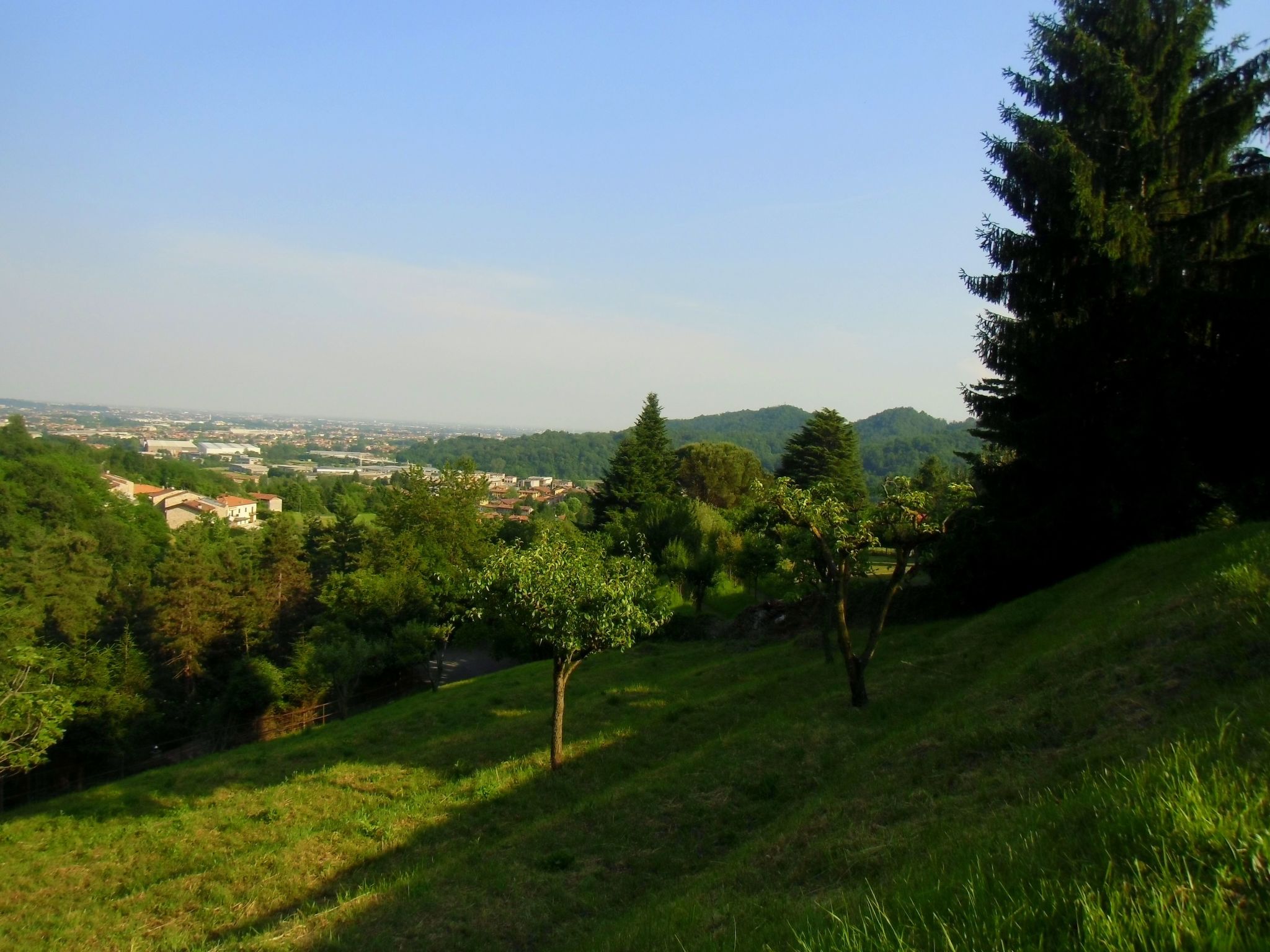 TaiObe - Fröhliches Partyhaus-Image-tags.info