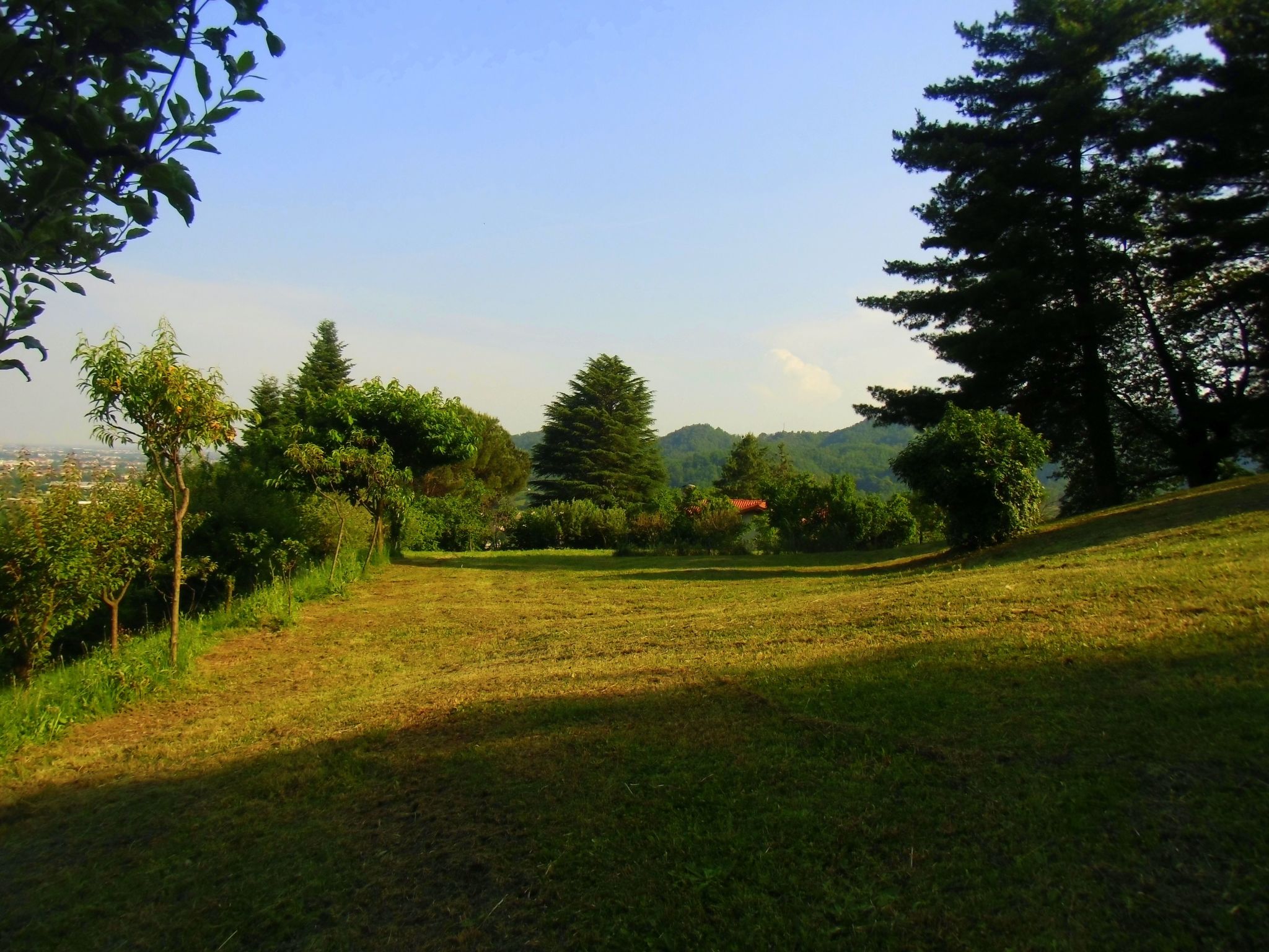 TaiObe - Fröhliches Partyhaus-Image-tags.info