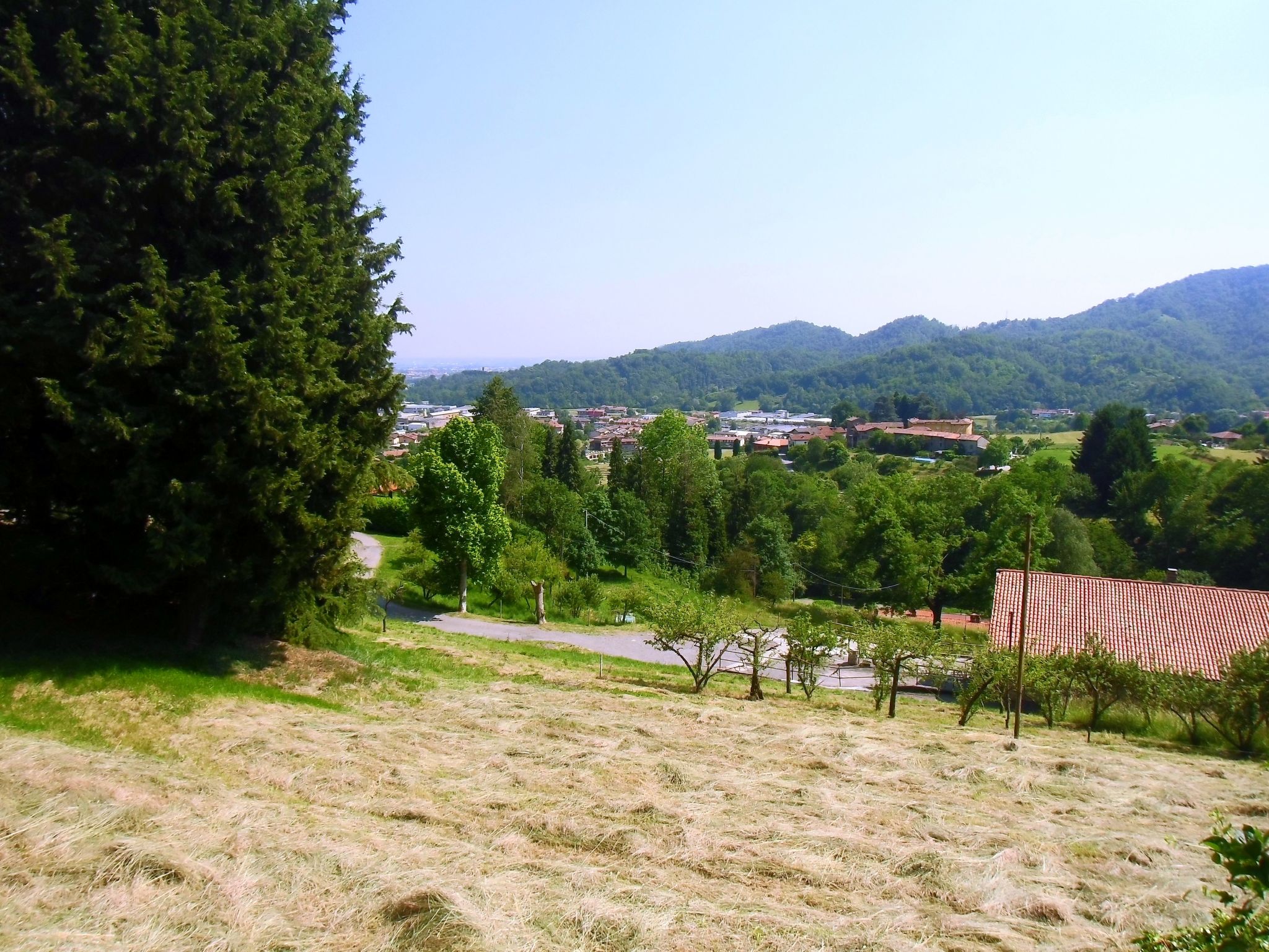 TaiObe - Fröhliches Partyhaus-Image-tags.info