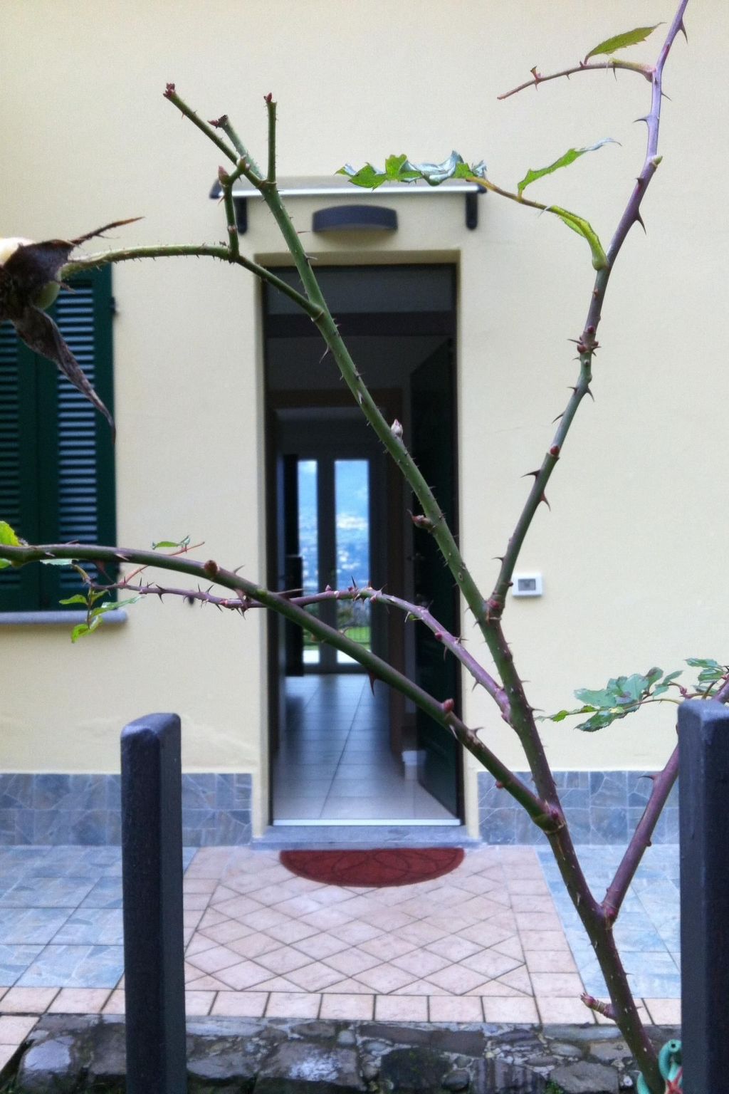 Villa zur alleinigen Nutzung mit 4 Wohnungen-Binnen