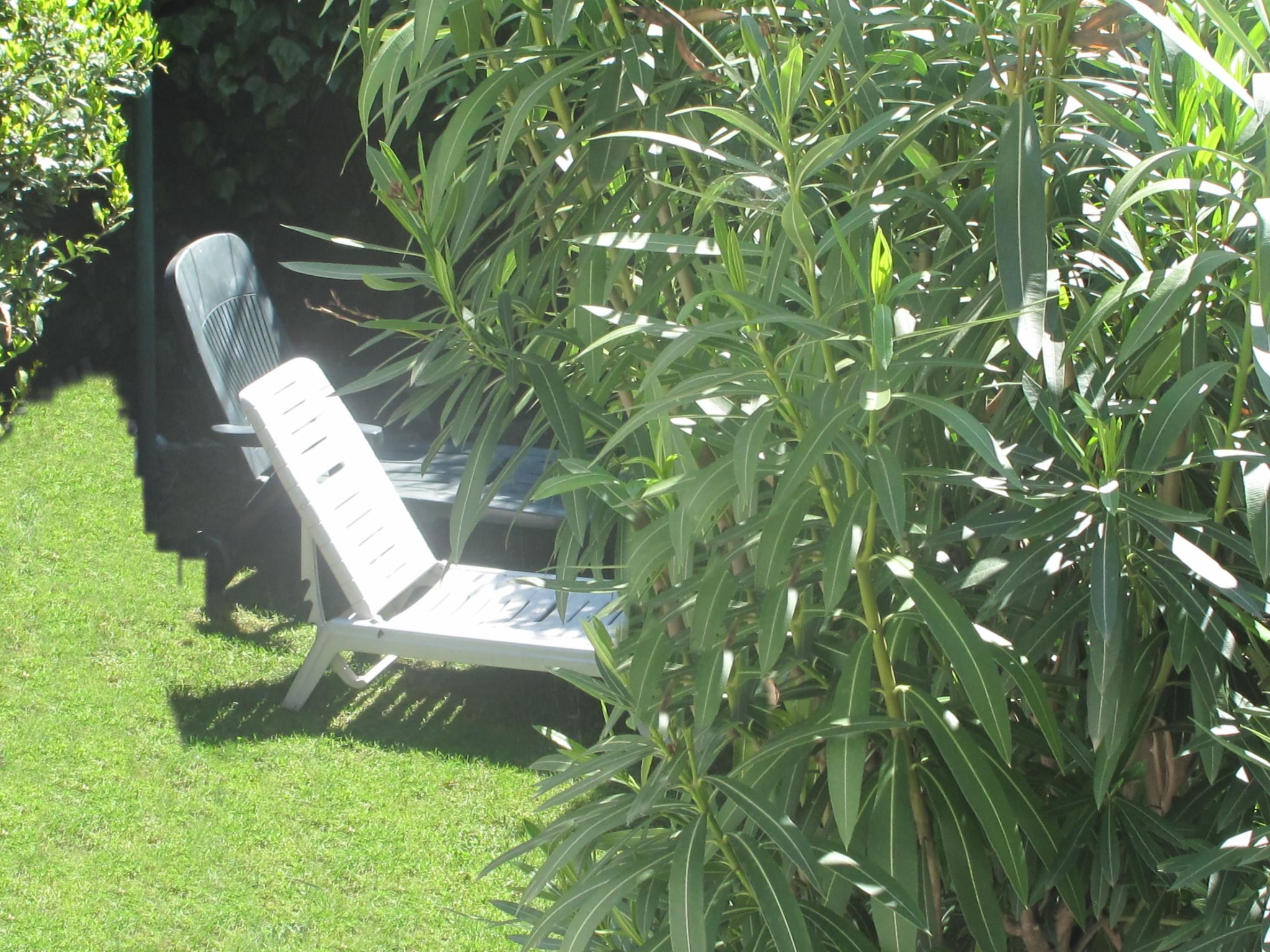 Dimora a corte-Binnen