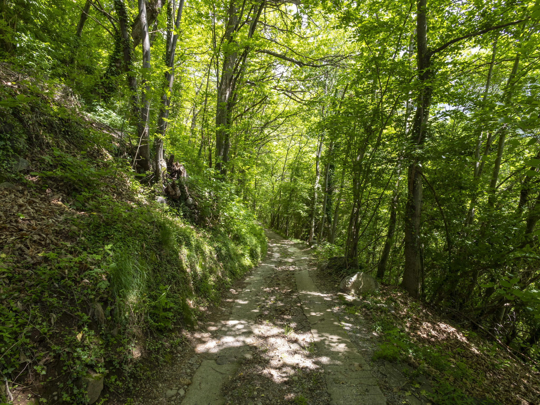 Il Castagneto-Buiten