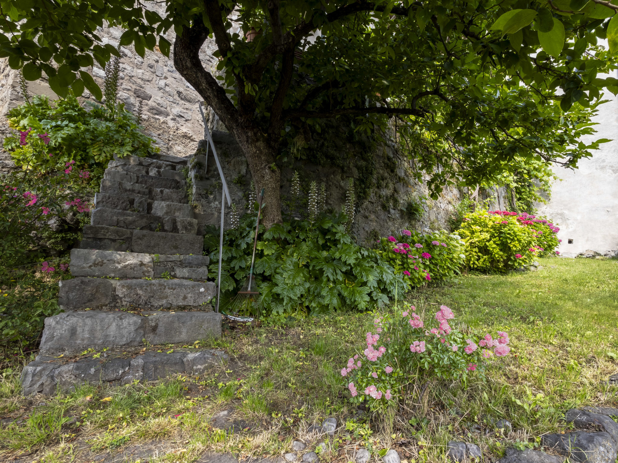 Casa Torre Il Castello - Dehors
