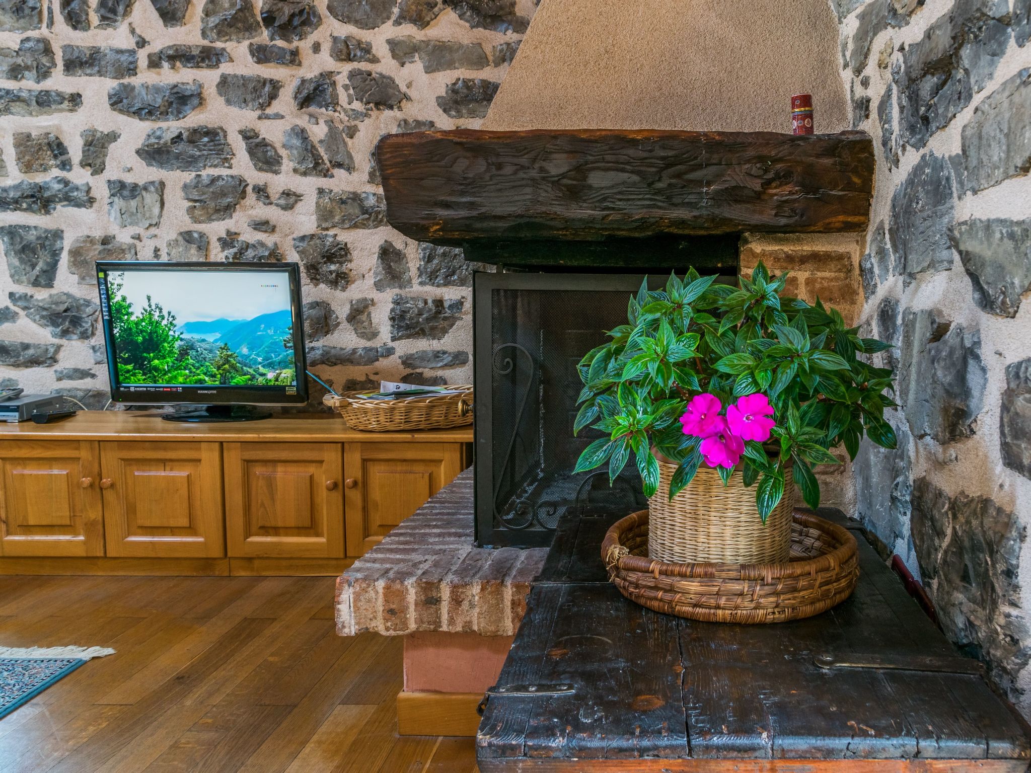 Open Space Penthouse im Schloss mit Seeblick-Binnen