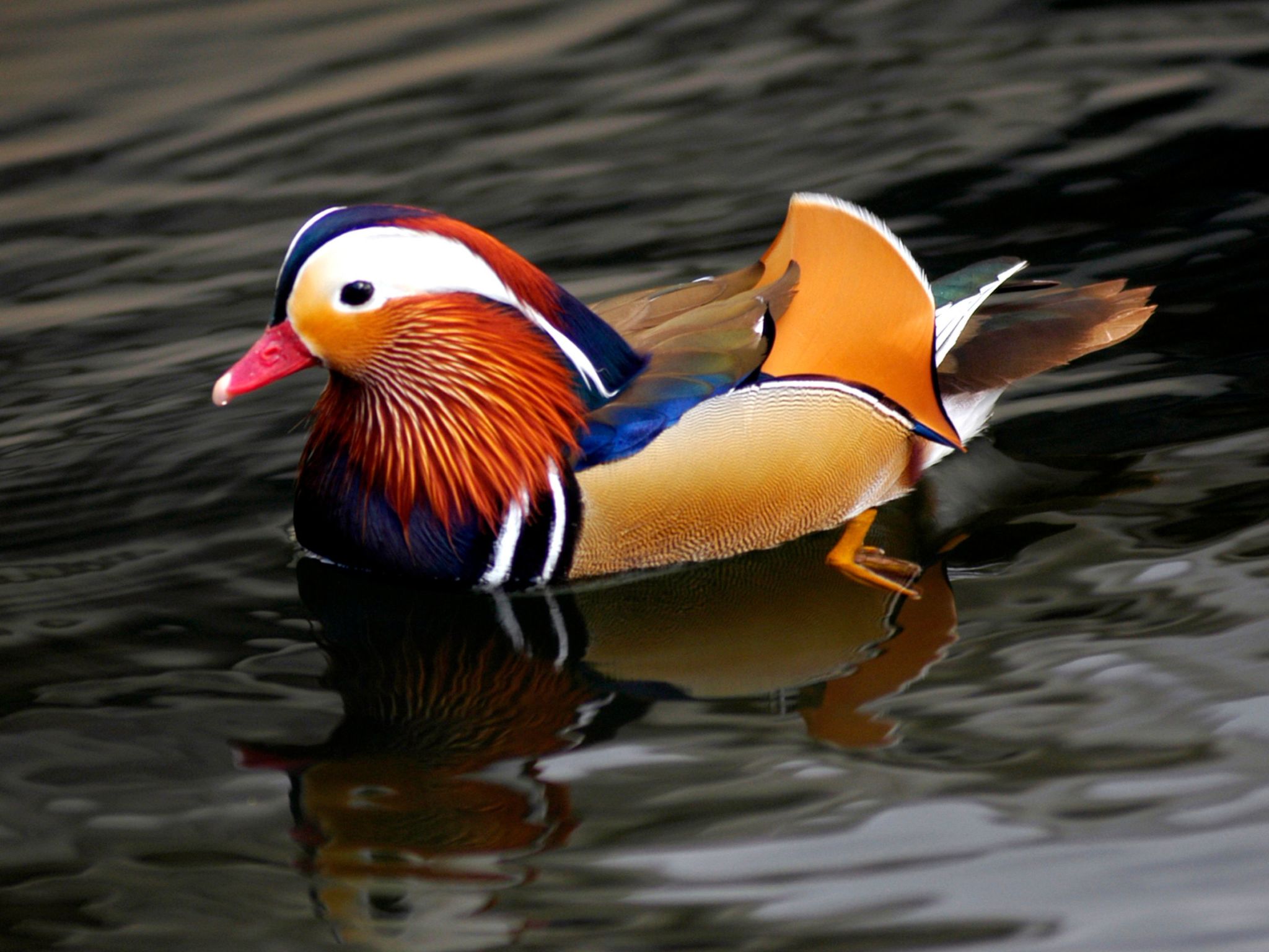 Open Space Penthouse im Schloss mit Seeblick-Binnen