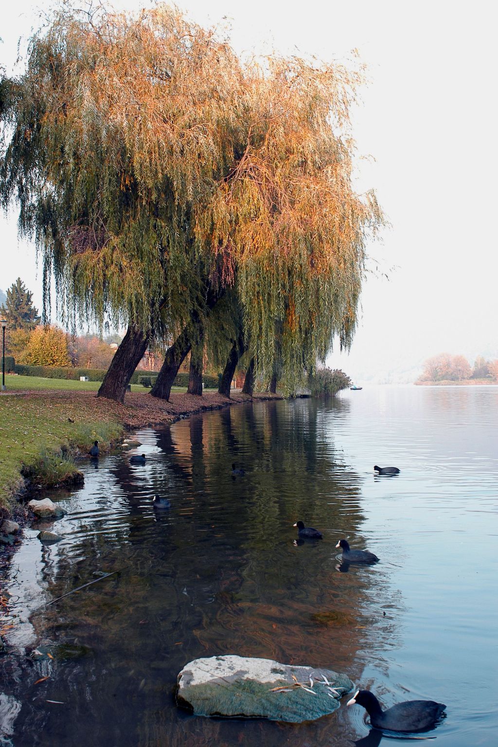 Studio-Apartment mit Zwischengeschoss in einem historischen Gebäude in Zorzino-Binnen