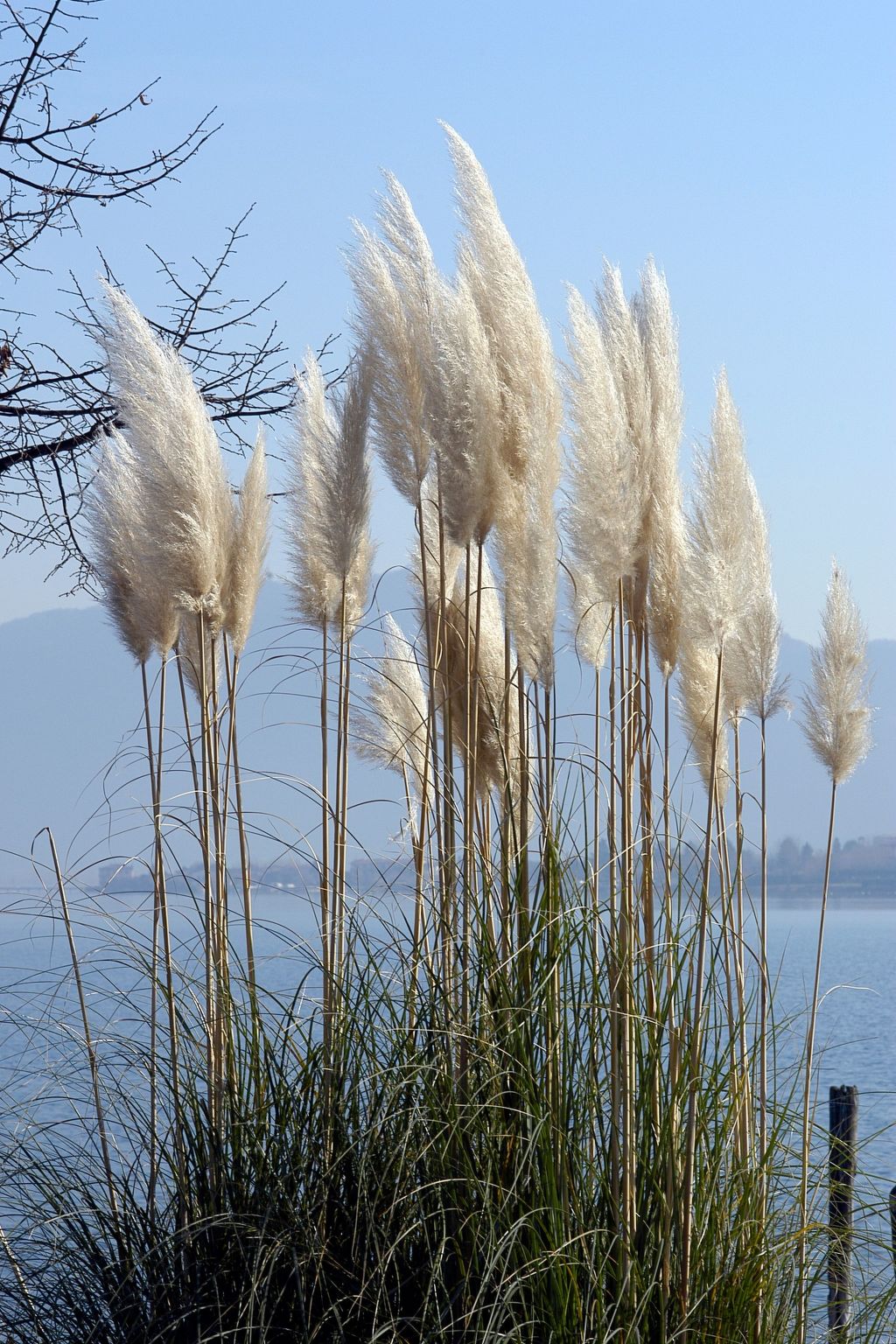 Studio-Apartment mit Zwischengeschoss in einem historischen Gebäude in Zorzino-Binnen