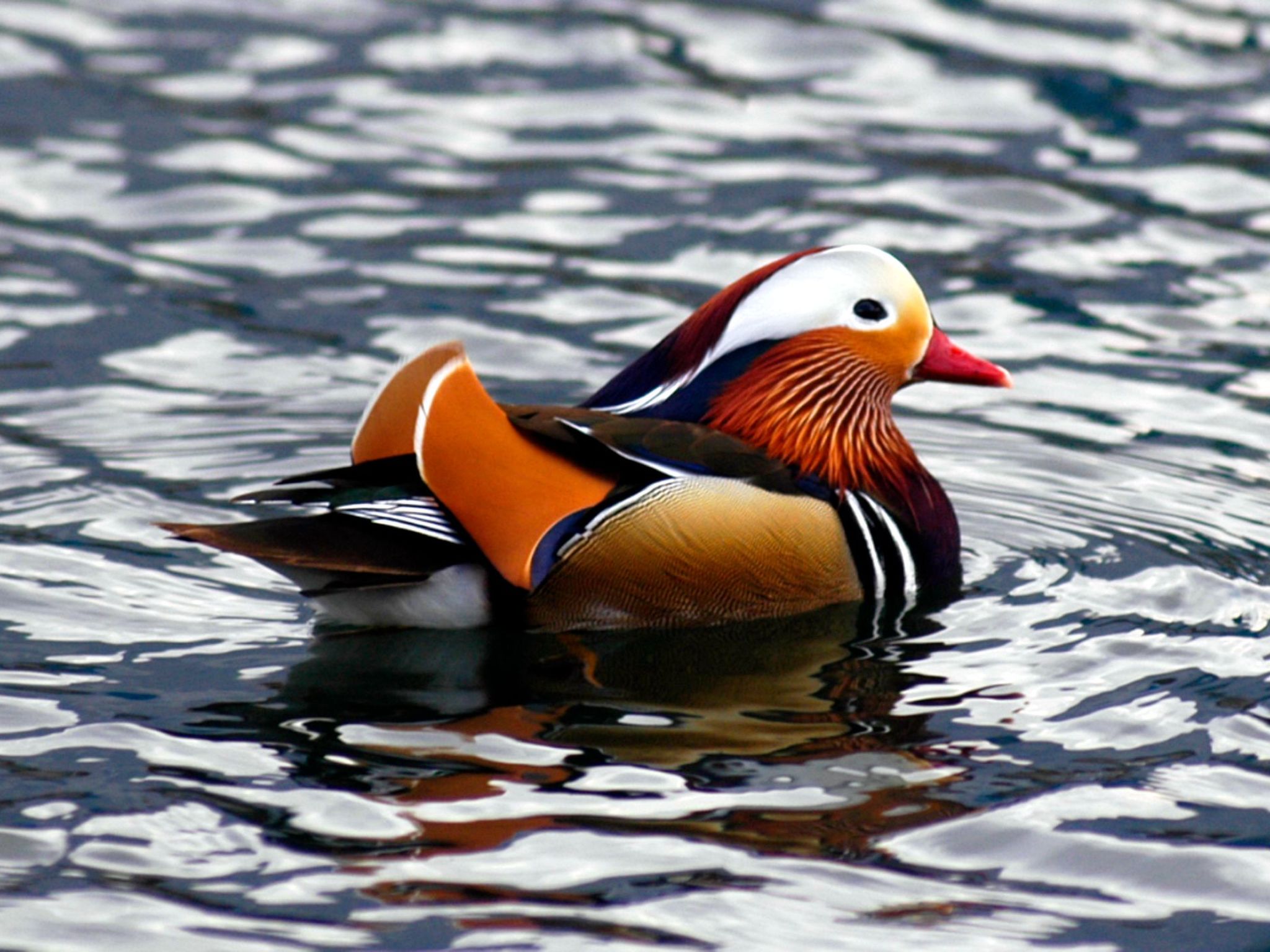 Studio-Apartment mit Zwischengeschoss in einem historischen Gebäude in Zorzino-Binnen