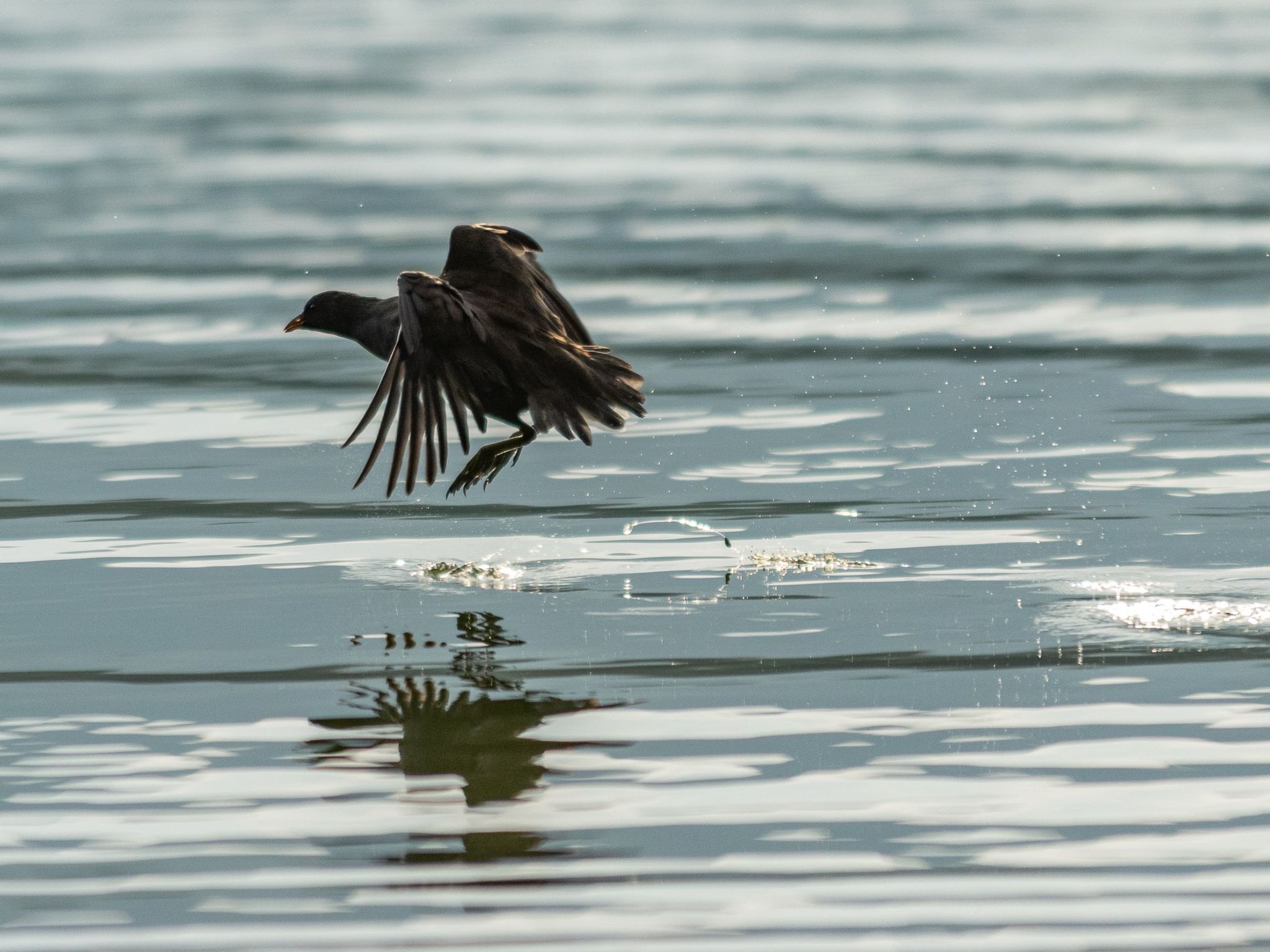 Studio-Apartment mit Zwischengeschoss in einem historischen Gebäude in Zorzino