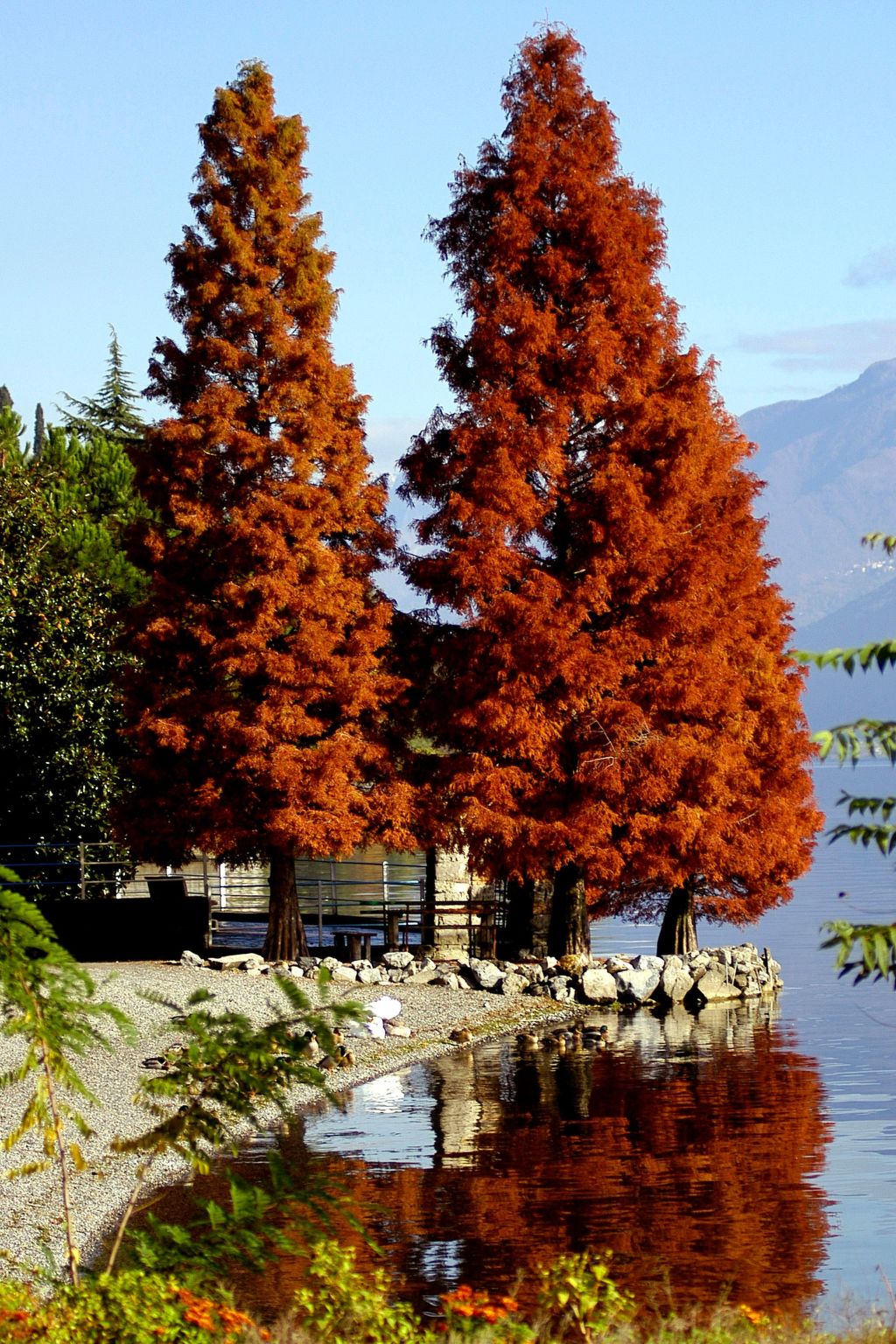 Dreistöckiges Apartment in einem historischen Gebäude-Binnen