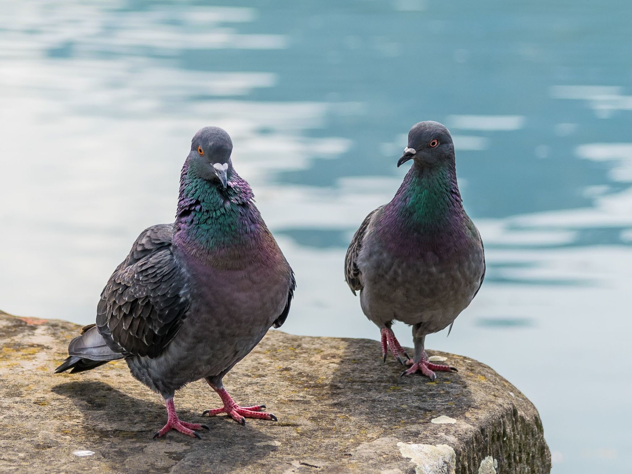 Dreistöckiges Apartment in einem historischen Gebäude-Binnen