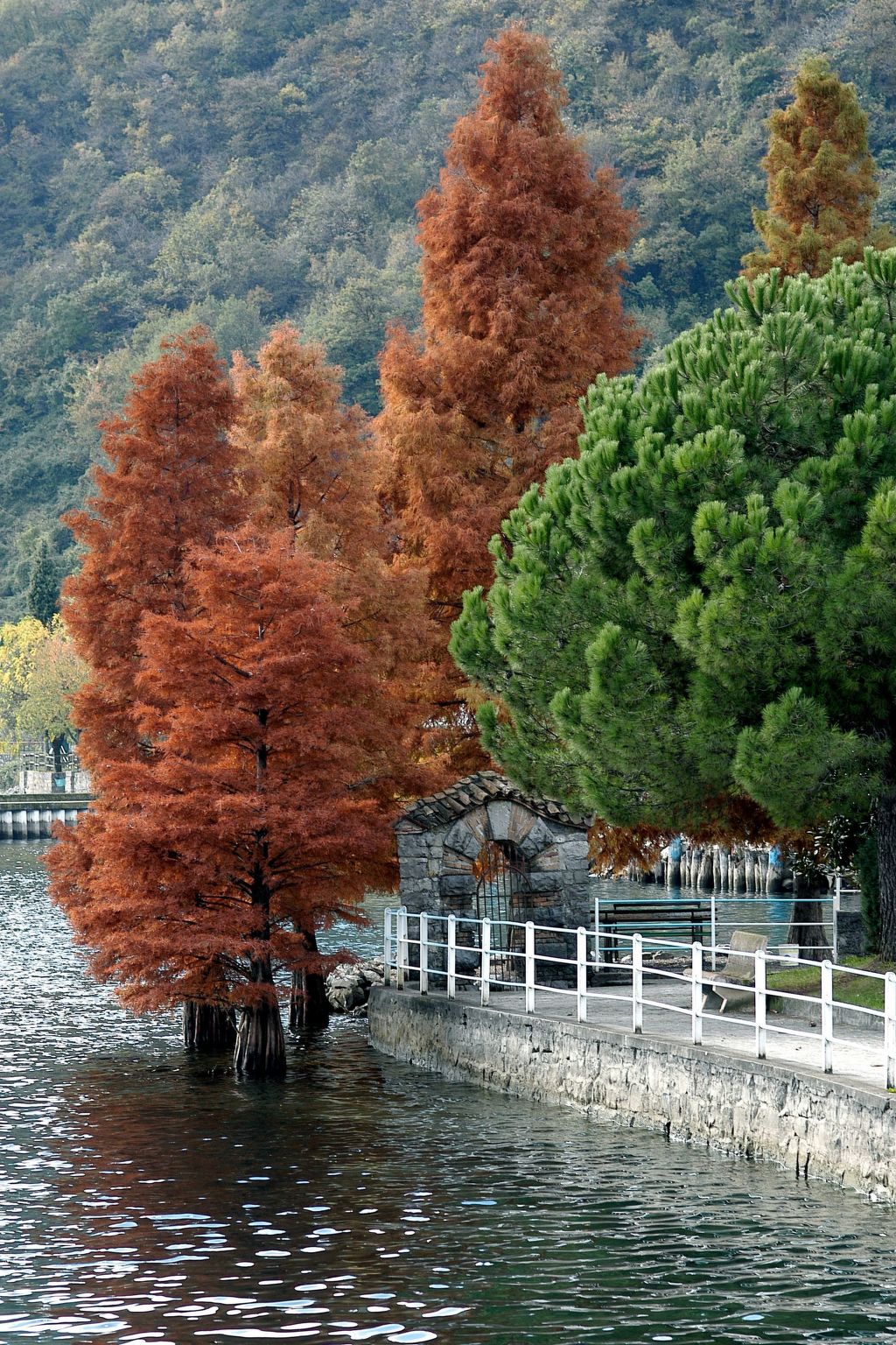 Wohnung in Riva Di Solto mit Kleinem Garten-Binnen