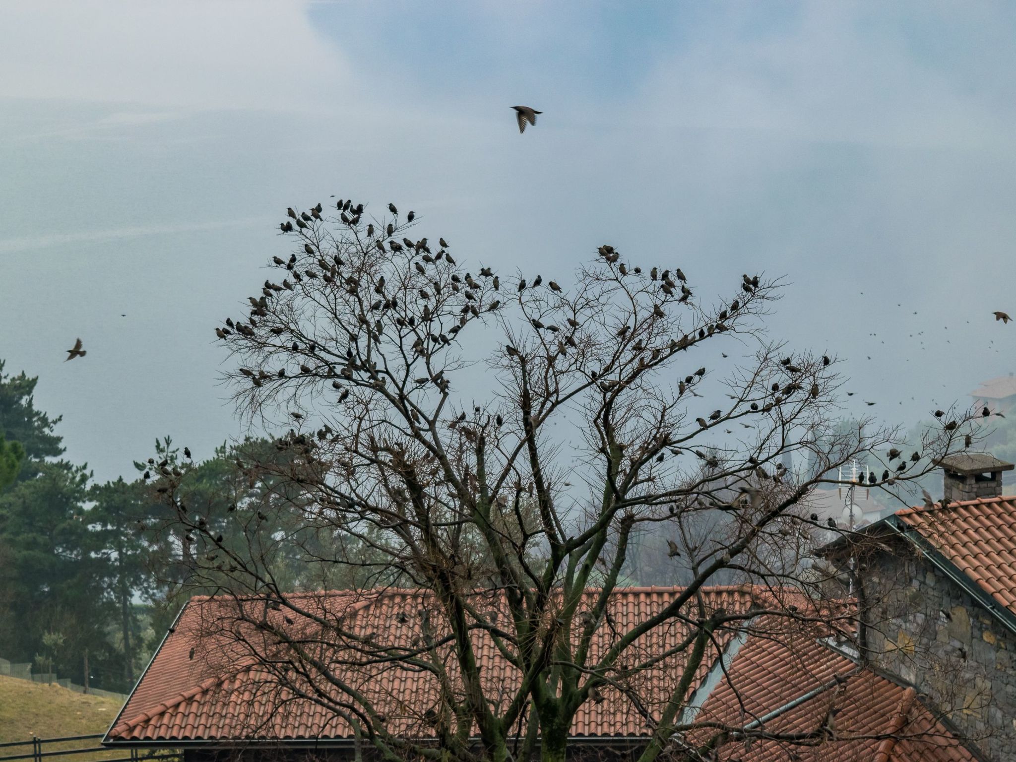 Wohnung in Riva Di Solto mit Kleinem Garten-Binnen