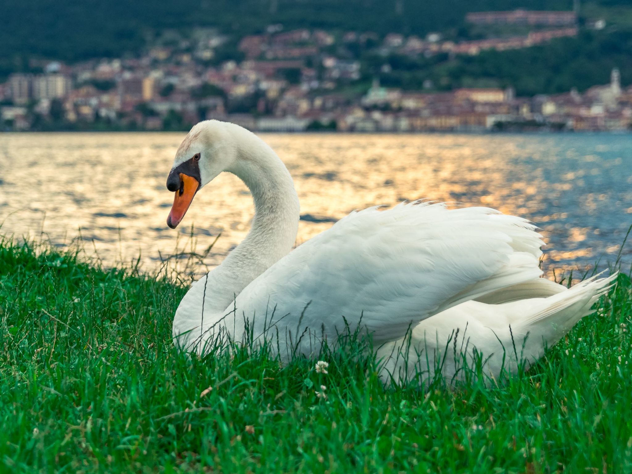 Studio-Apartment mit Balkon mit Seeblick und Zugang zum Garten-Binnen
