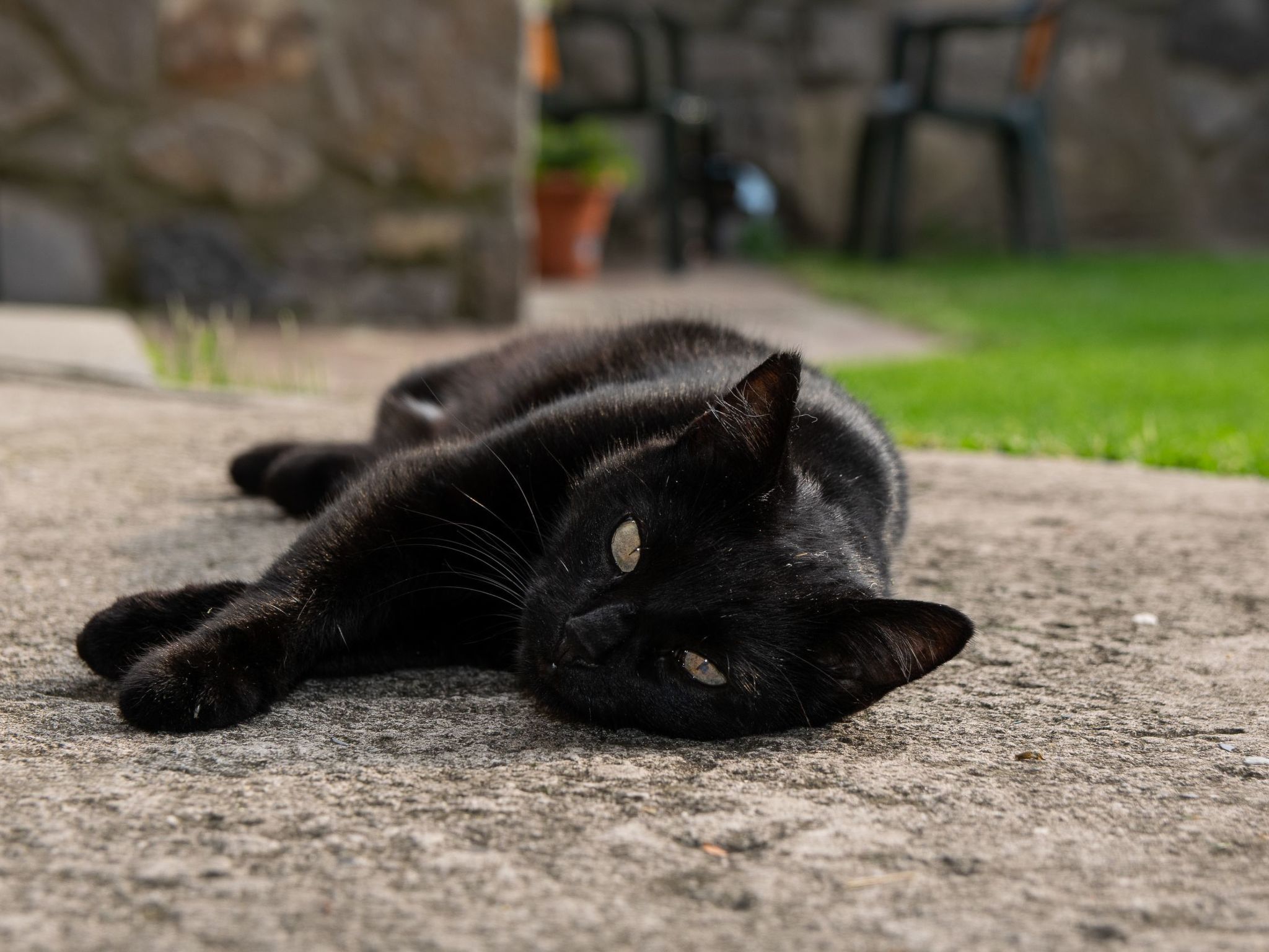 Studio-Apartment mit Balkon mit Seeblick und Zugang zum Garten-Binnen