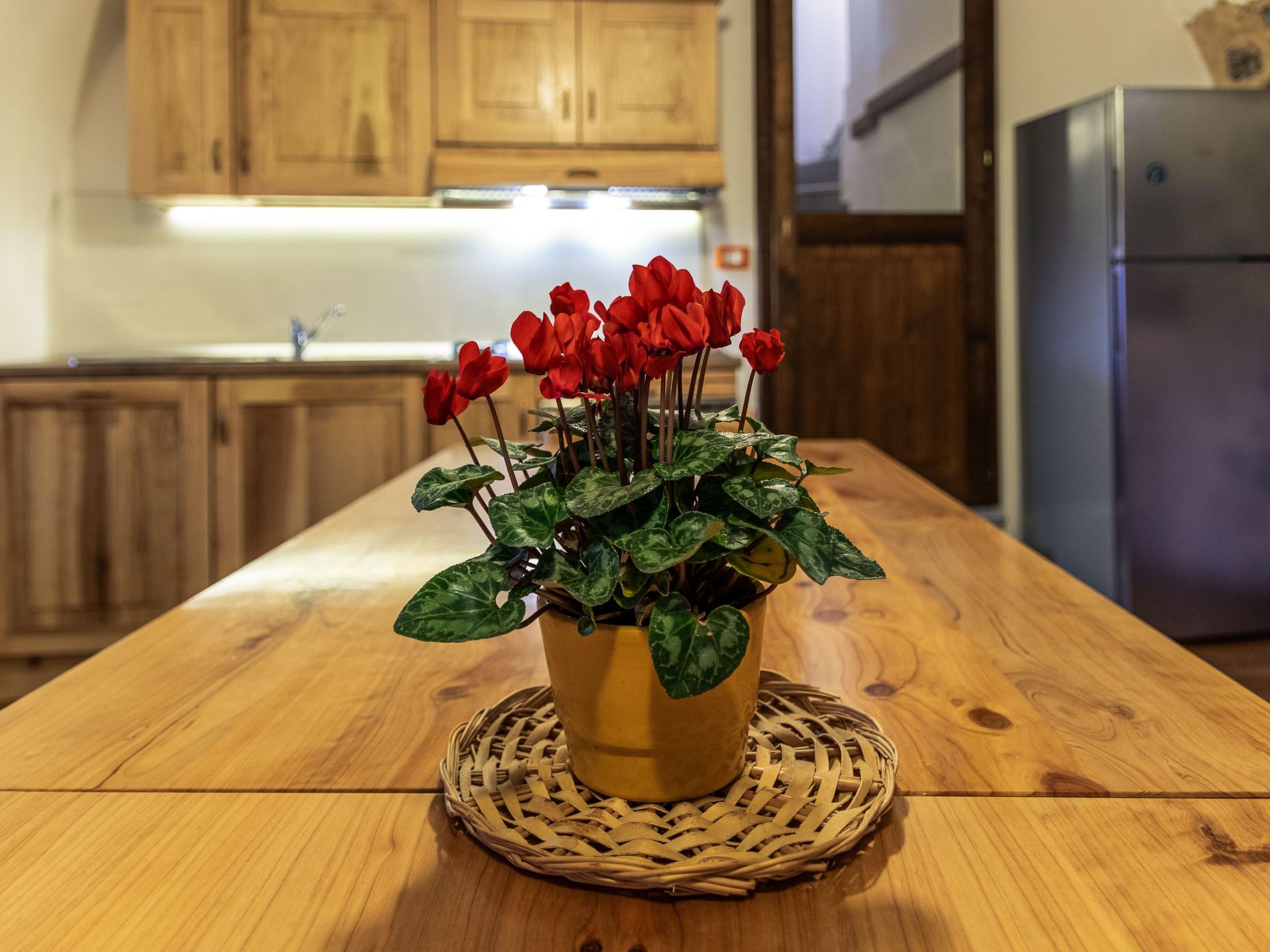 Historisches Haus mit Seeblick-Binnen