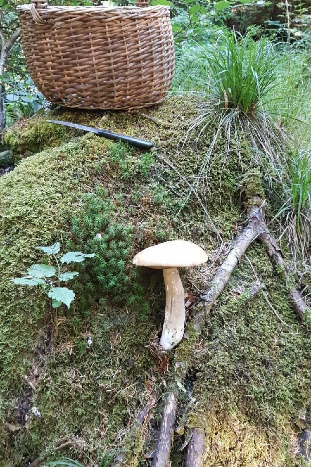 Ferienvilla 'Iagra' mit Wasserblick-Draußen