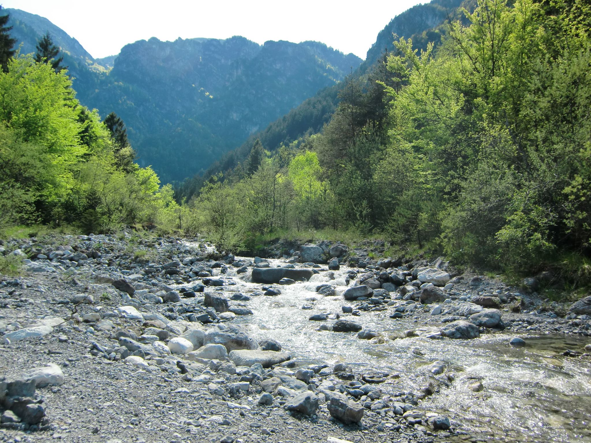 Erdgeschosswohnung mit Seeblick-Binnen