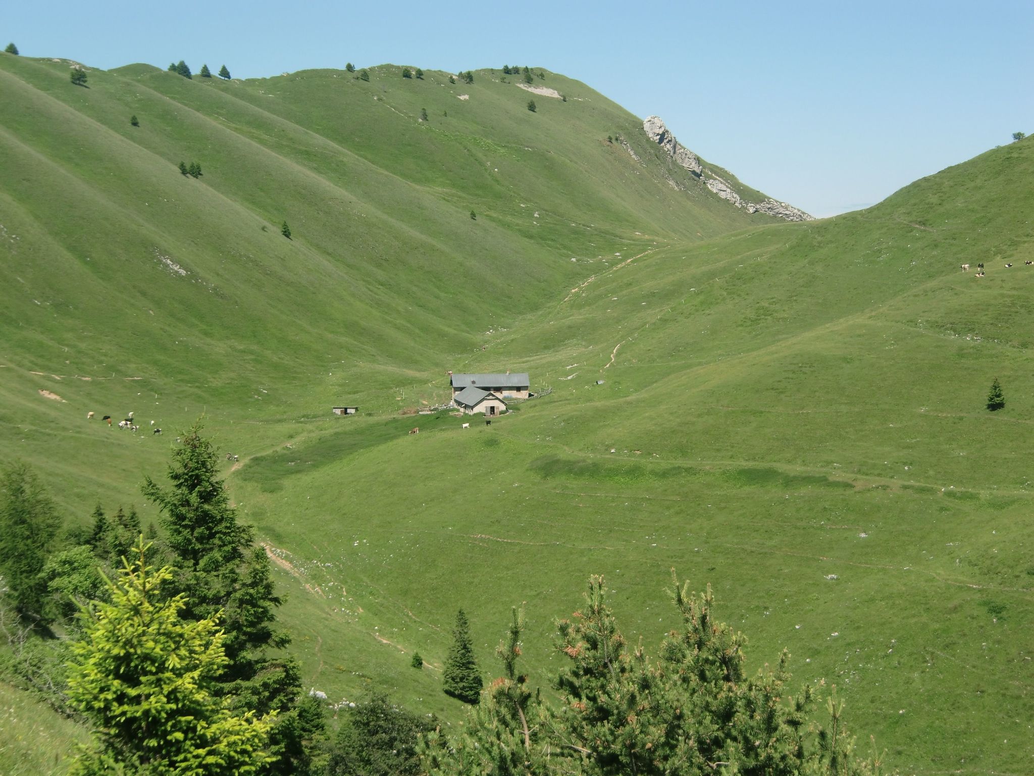 Wohnung im ersten Stock mit schönem Seeblick-Binnen