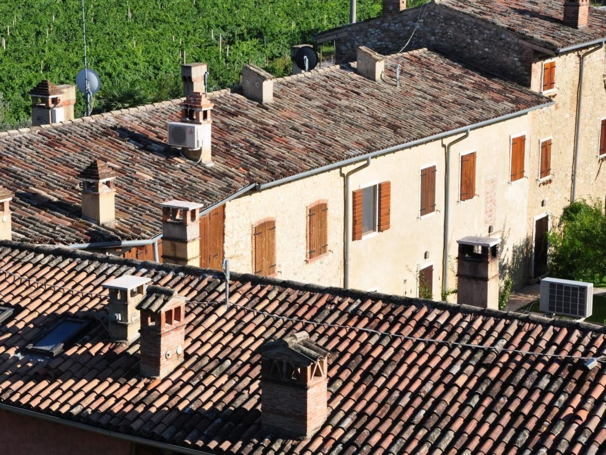 In Carlotte mit Eigenem Garten-Image-tags.info