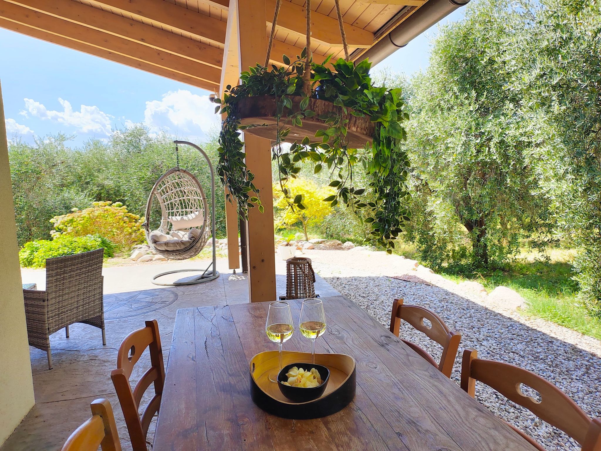 Photo of In einem spektakulären Olivenhain in einer ruhig