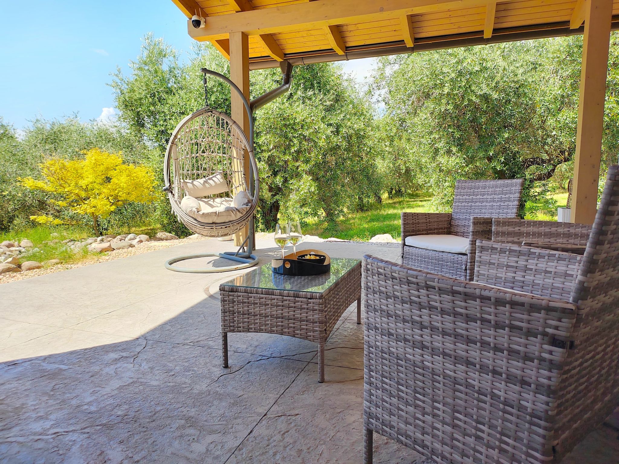 Photo of In einem spektakulären Olivenhain in einer ruhig