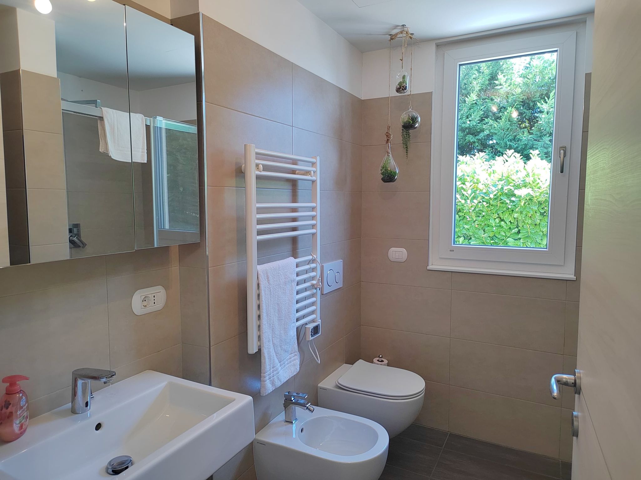 Photo of In einem spektakulären Olivenhain in einer ruhig