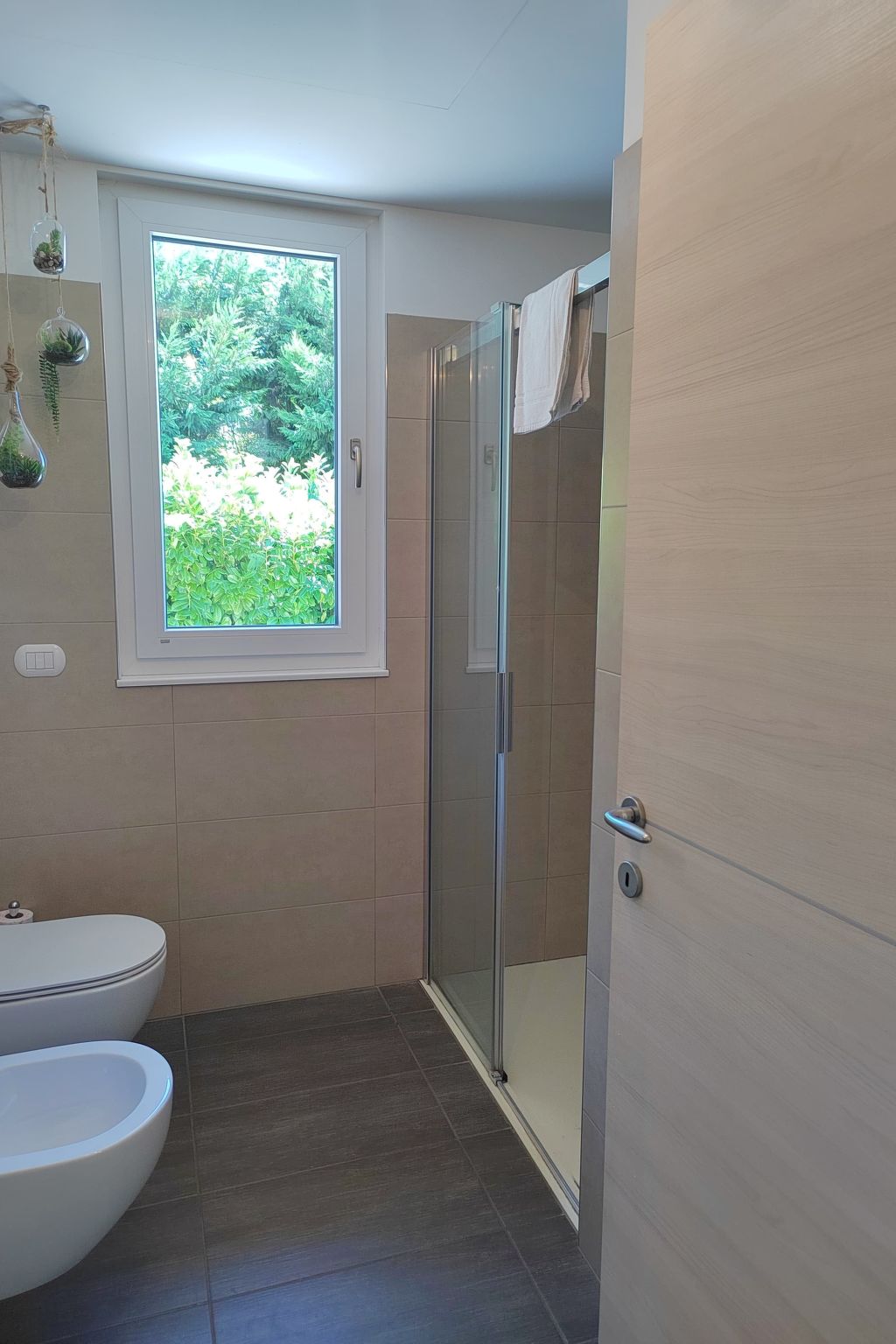 Photo of In einem spektakulären Olivenhain in einer ruhig