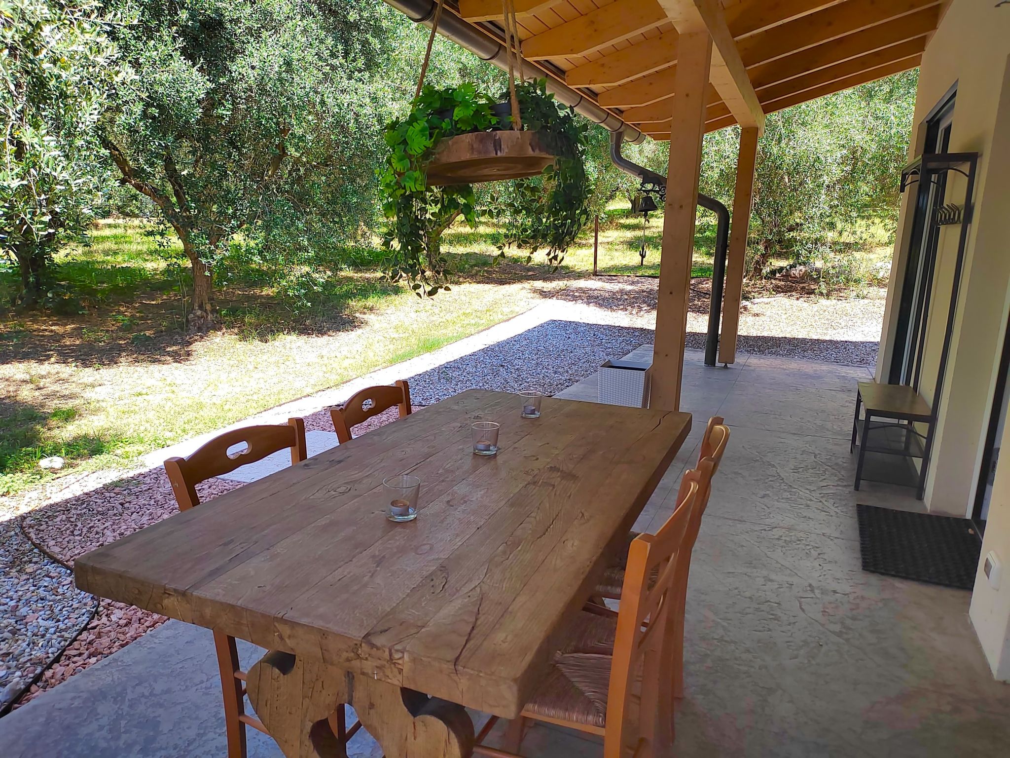 Photo of In einem spektakulären Olivenhain in einer ruhig