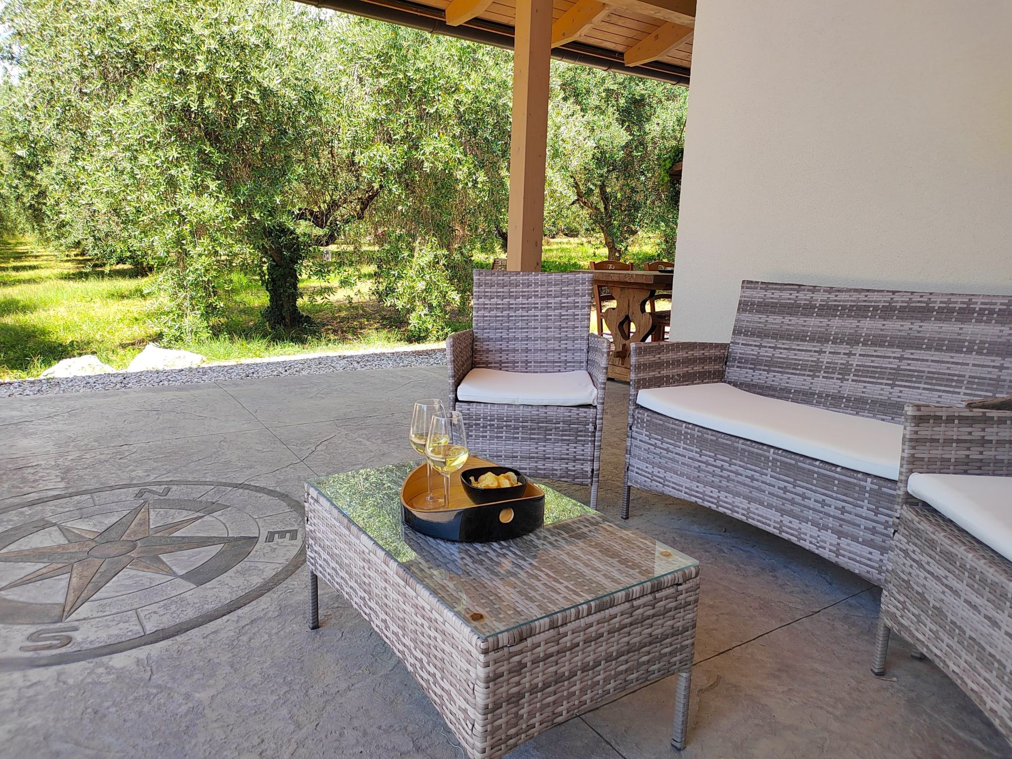 Photo of In einem spektakulären Olivenhain in einer ruhig