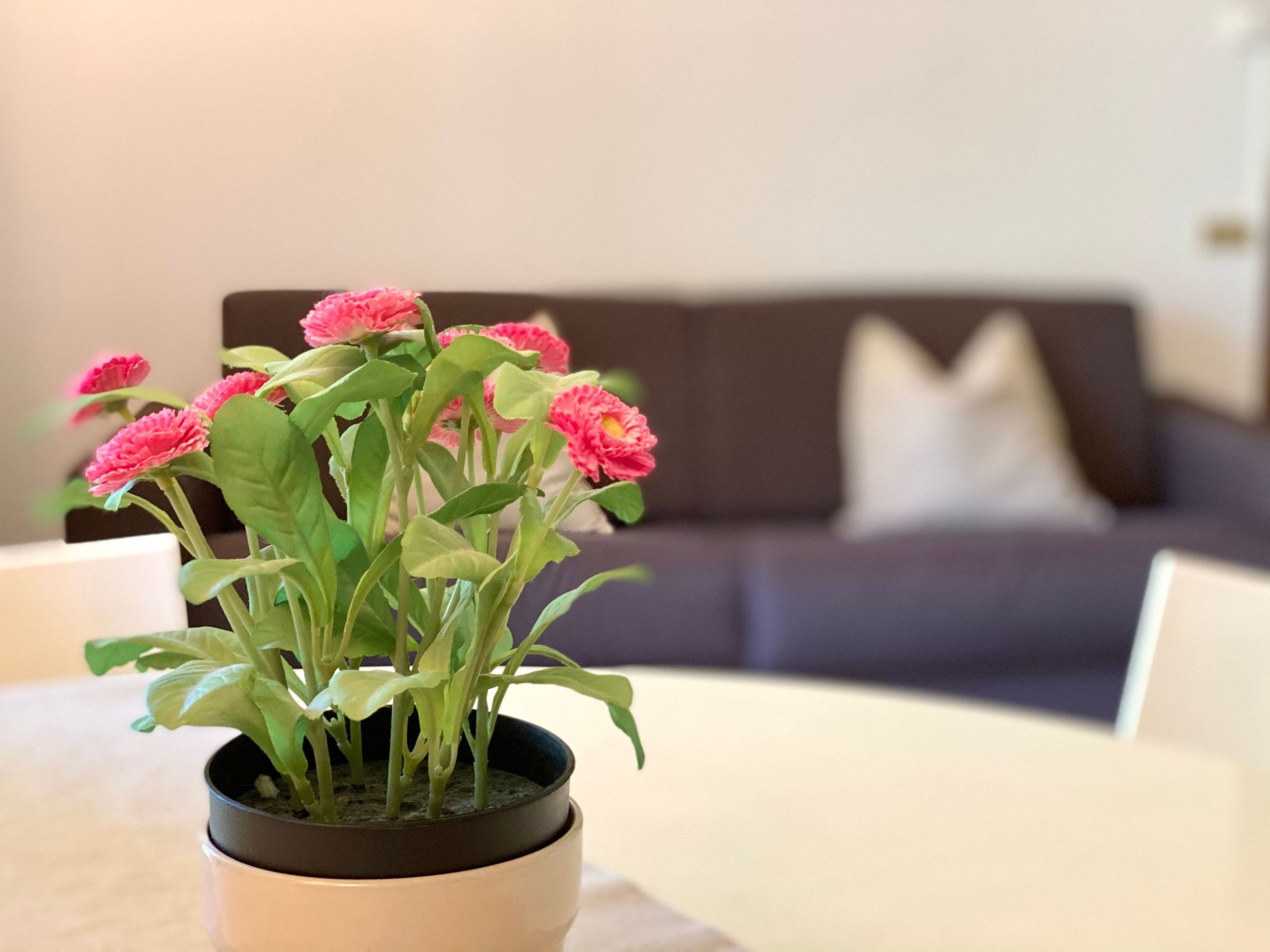 Gemütliche Drei-Zimmer-Wohnung mit Garten-Inside