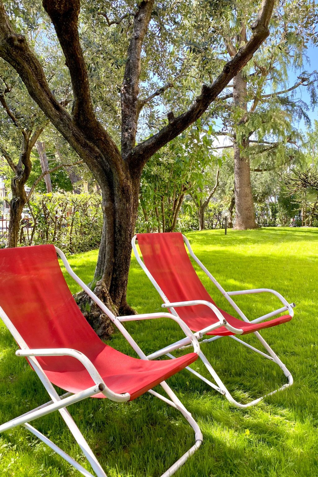 Gemütliche Drei-Zimmer-Wohnung mit Garten-Inside