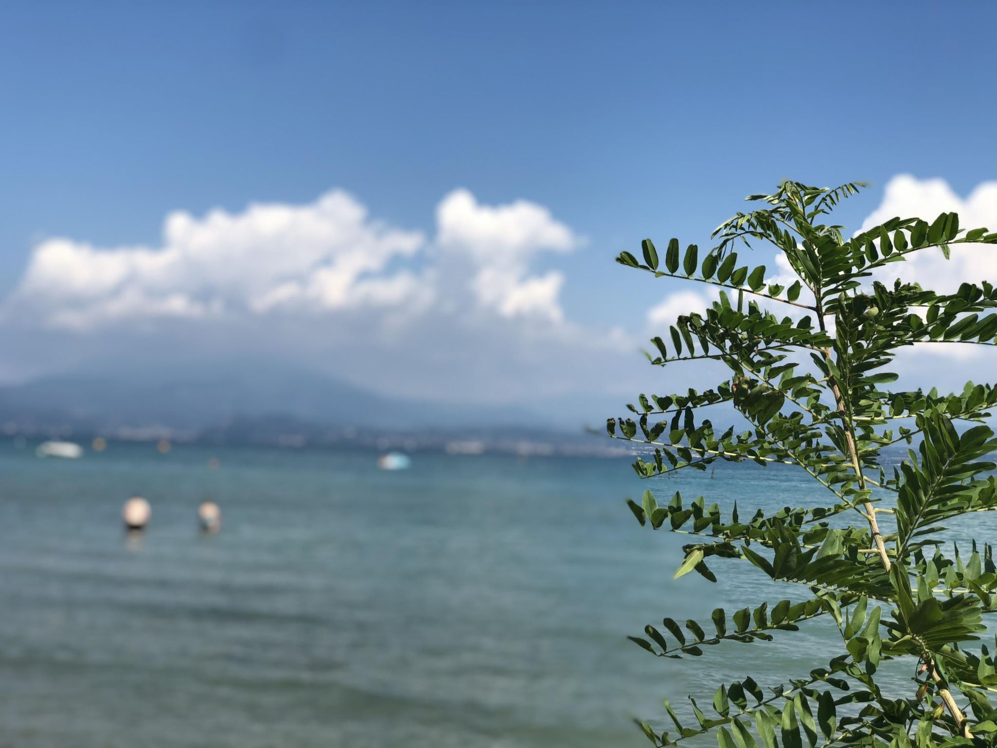 Schönes Studio-Apartment - Pool und Balkon-Inside