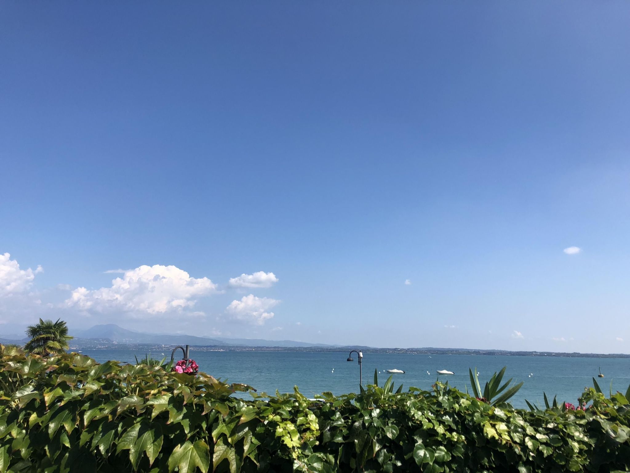 Gemütliche Dreizimmerwohnung mit Balkon-Inside