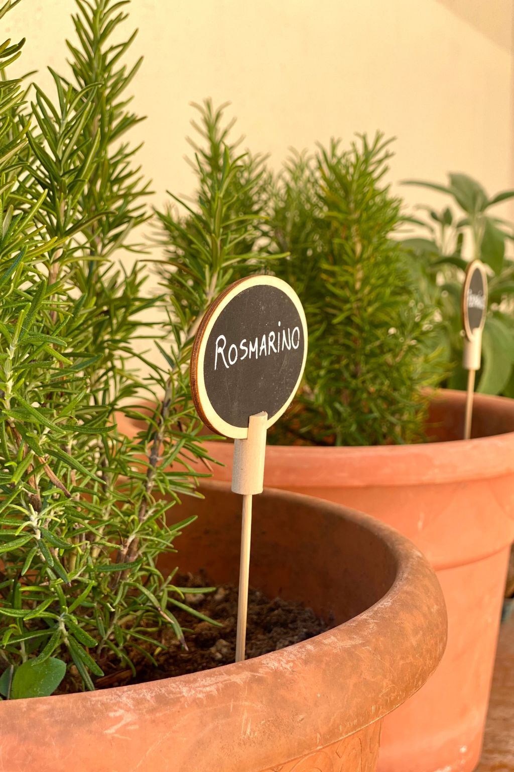 Gemütliche Drei-Zimmer-Wohnung mit Garten-Binnen