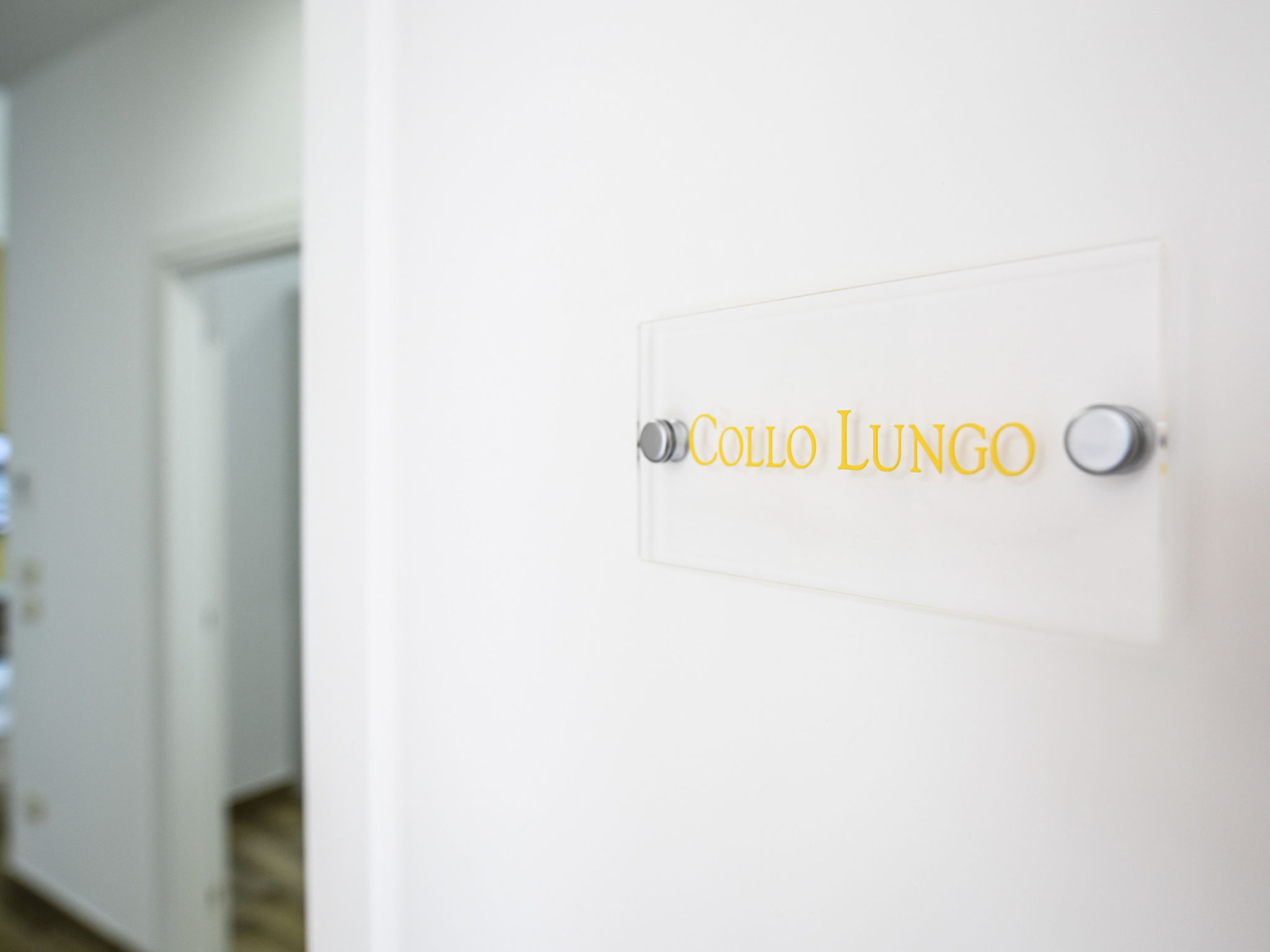 77 -  Collo lungo Giallo - Buiten