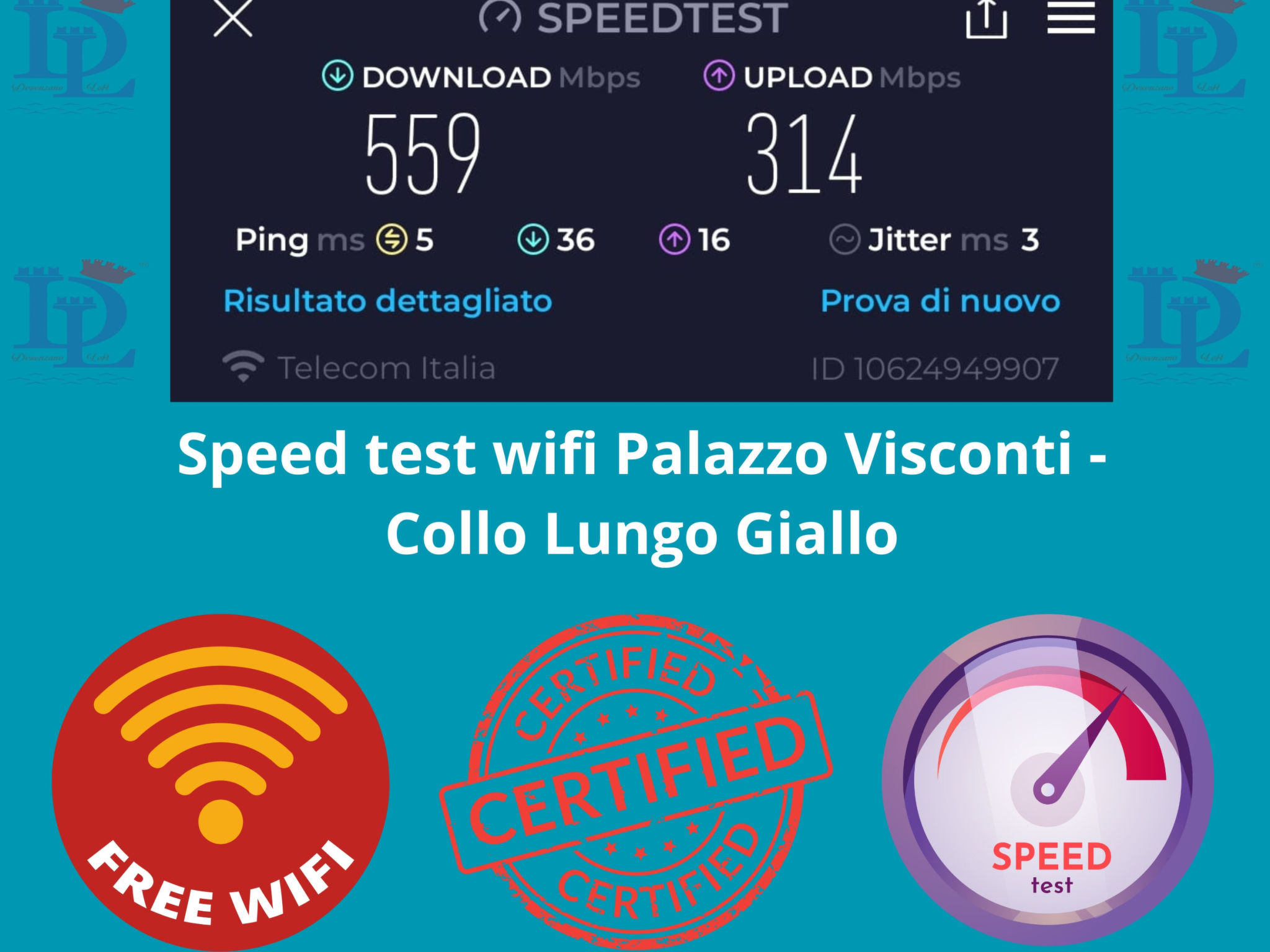 77 -  Collo lungo Giallo - Binnen