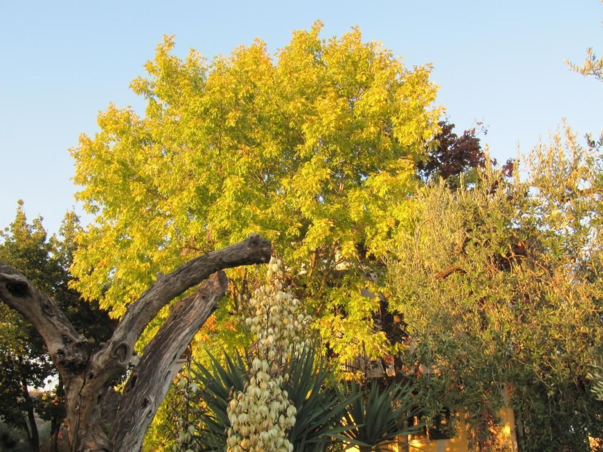 Photo of TERRAZZE SUL GARDA