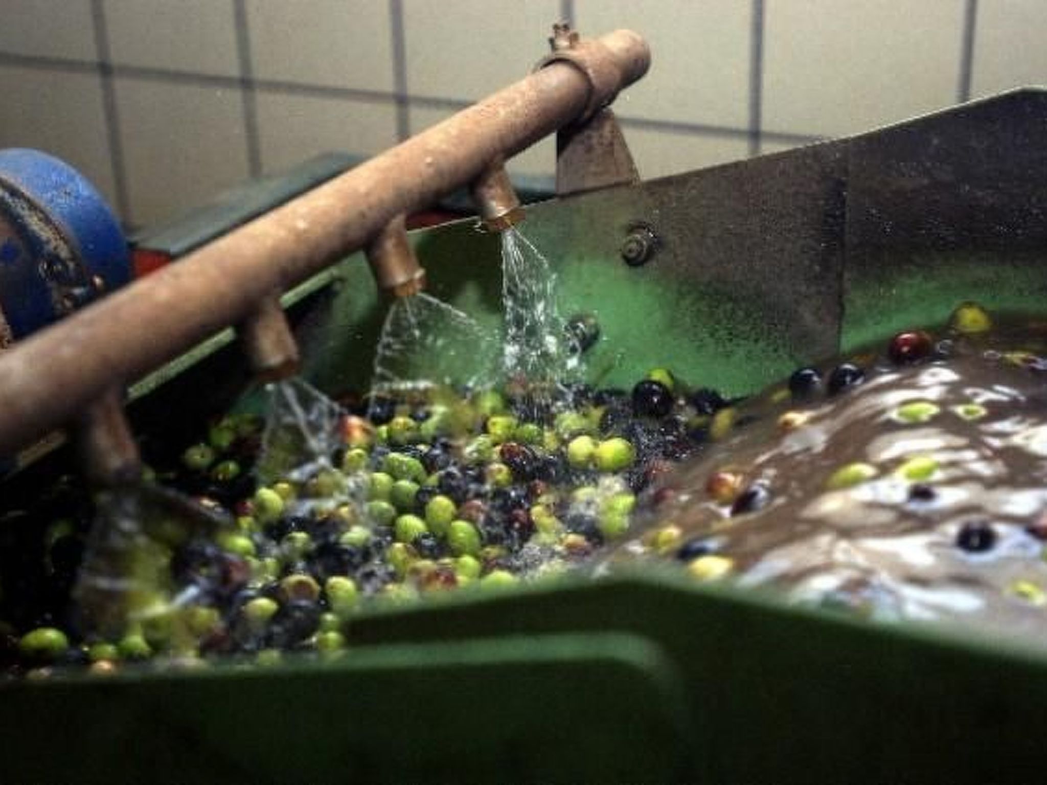 Photo of Helle Wohnung in den Hügeln des Gardasees