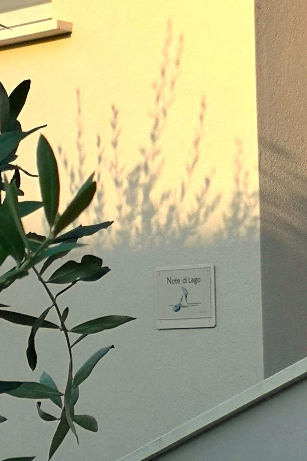 Freifläche mit direktem Zugang zum Strand-Drinnen