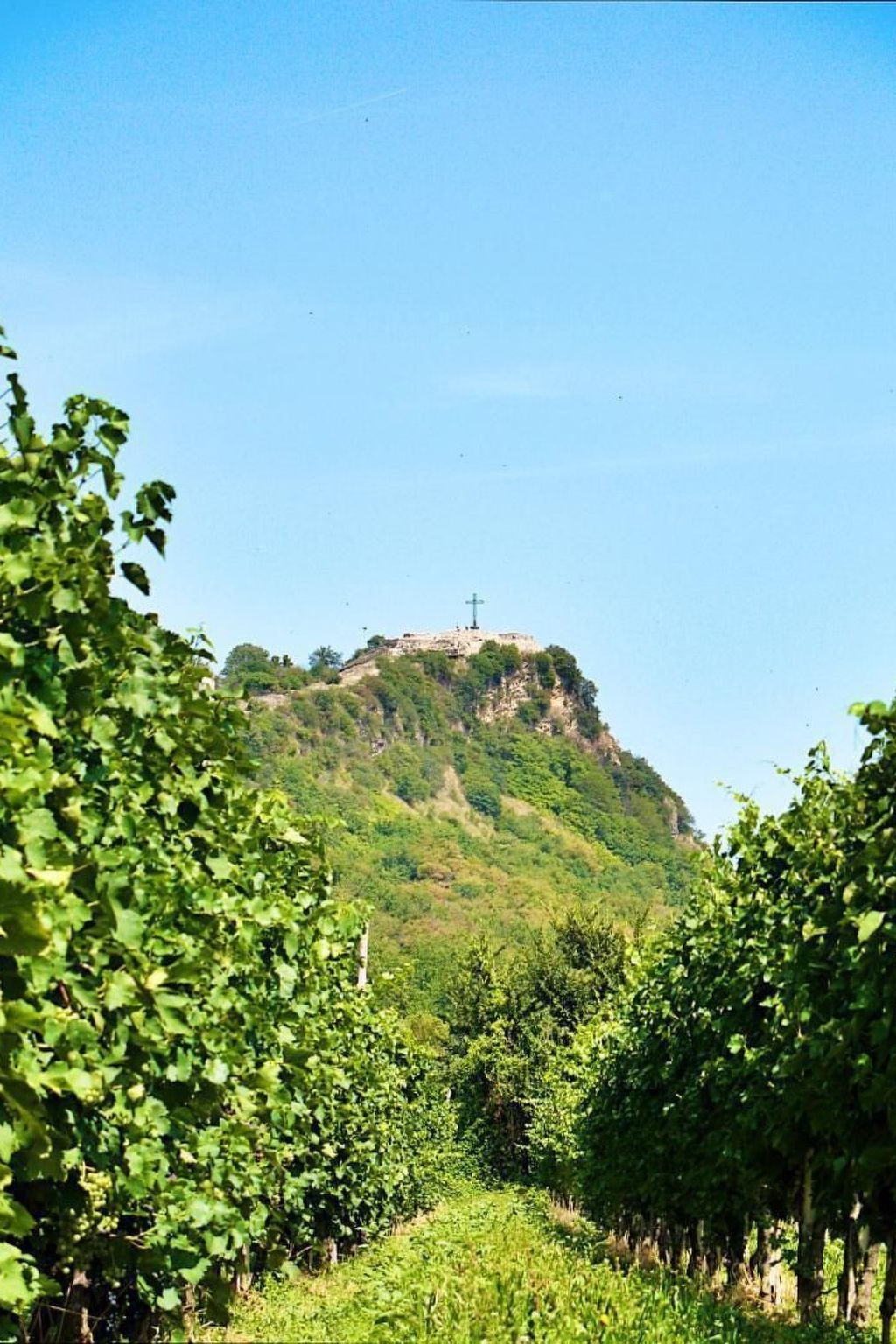 Photo of Angenehme Wohnung in Solarolo mit Parkplatz
