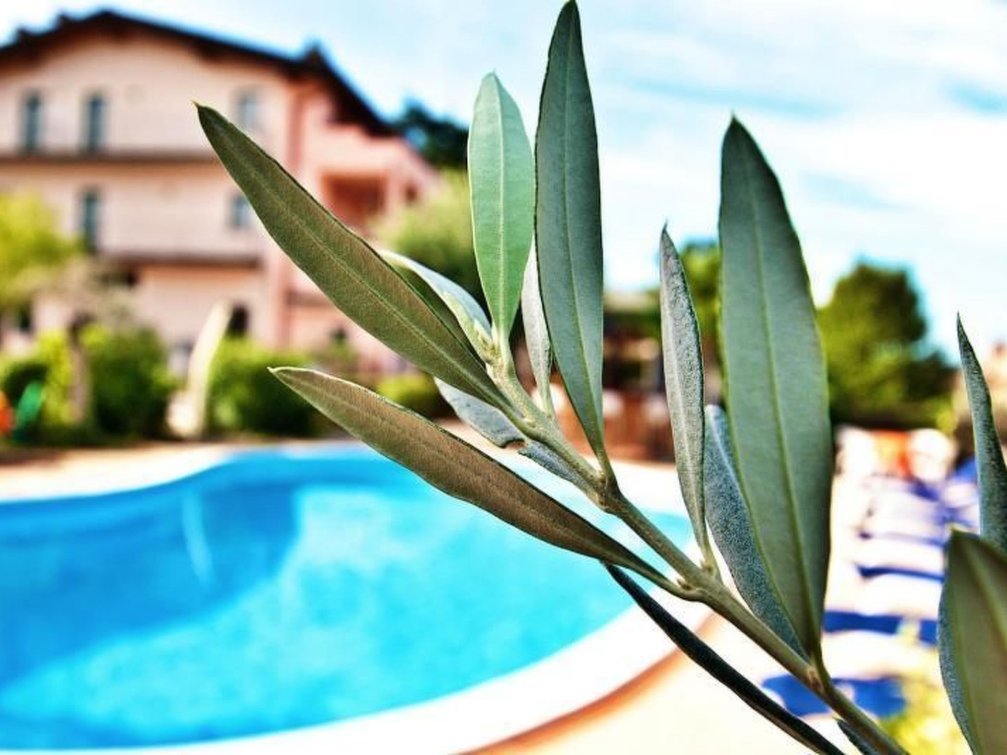 "Appartement für 3 Personen"-Draußen