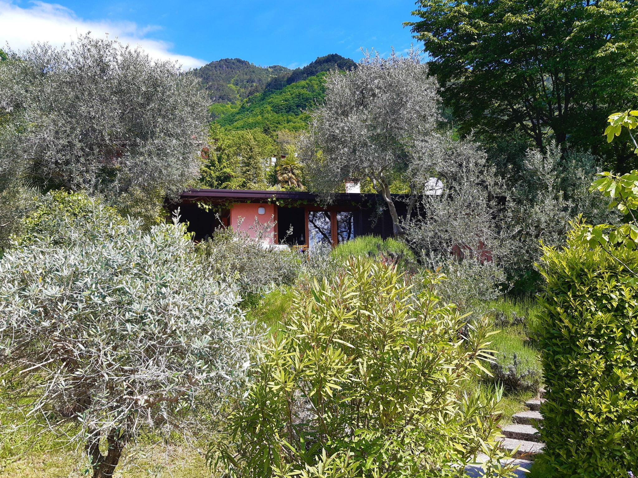 Oliveto Tignale-Binnen