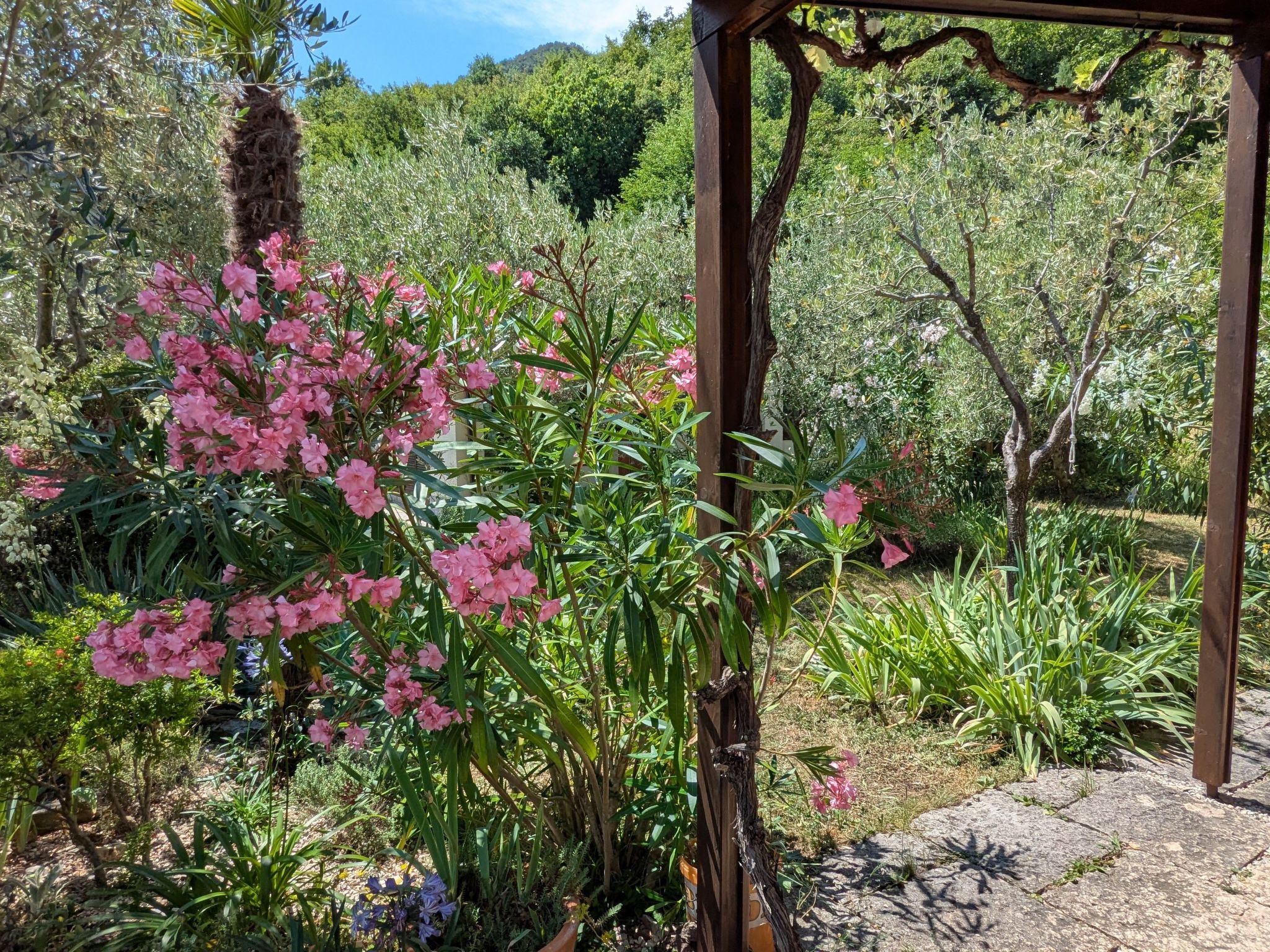 Oliveto Tignale-Binnen