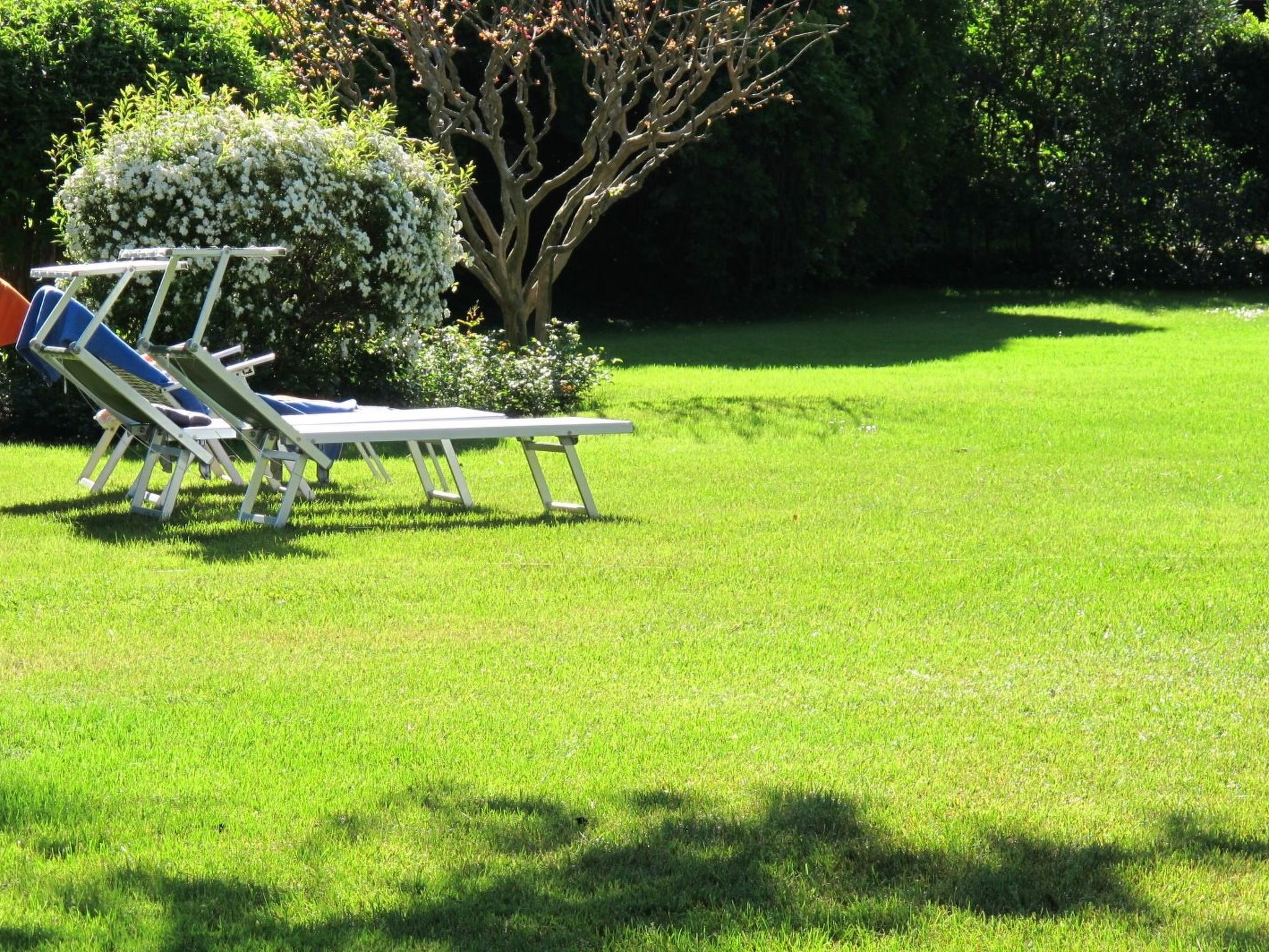 Photo of Wohnung in Strandnähe