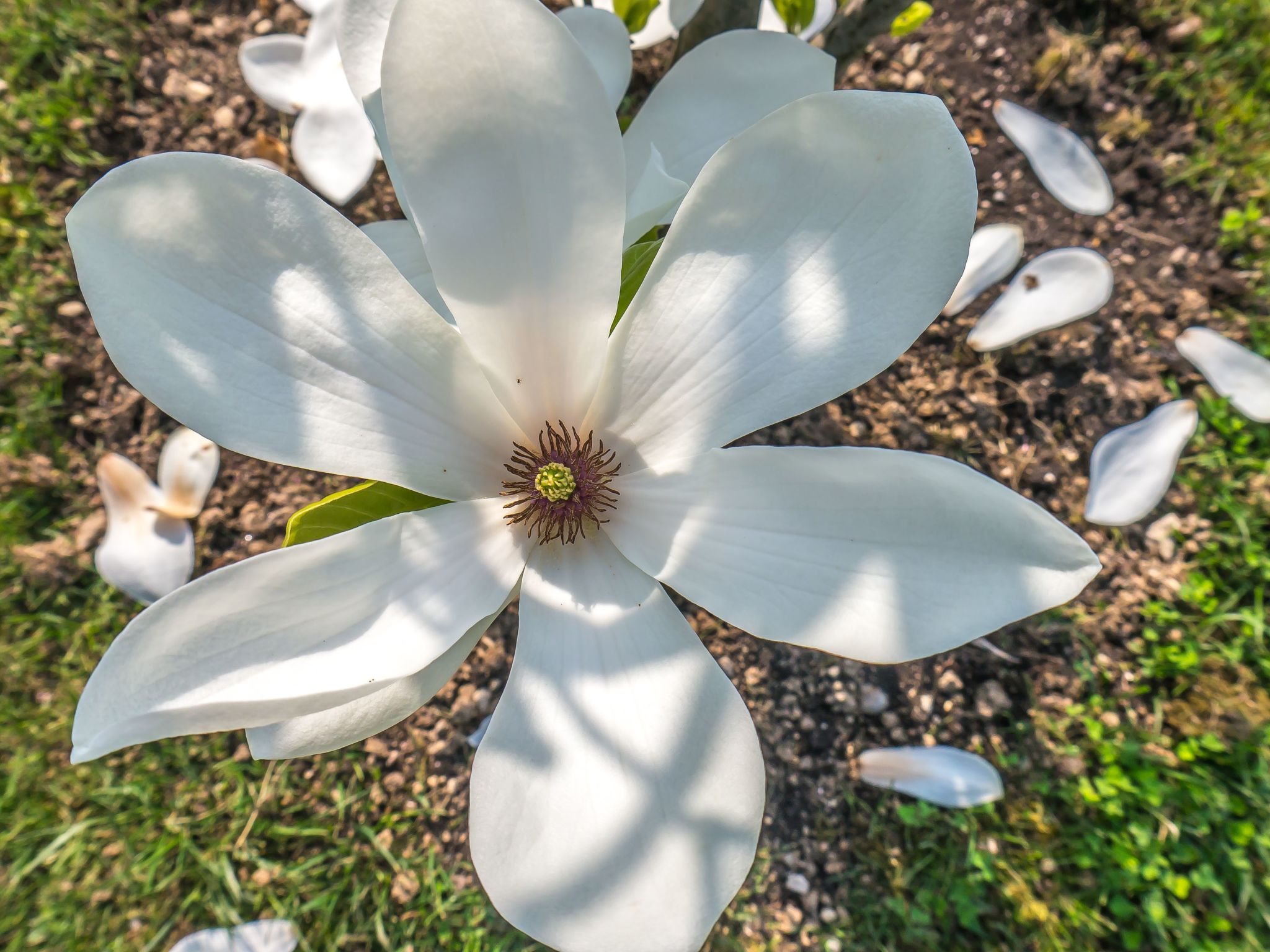 Photo of Wohnung in Strandnähe
