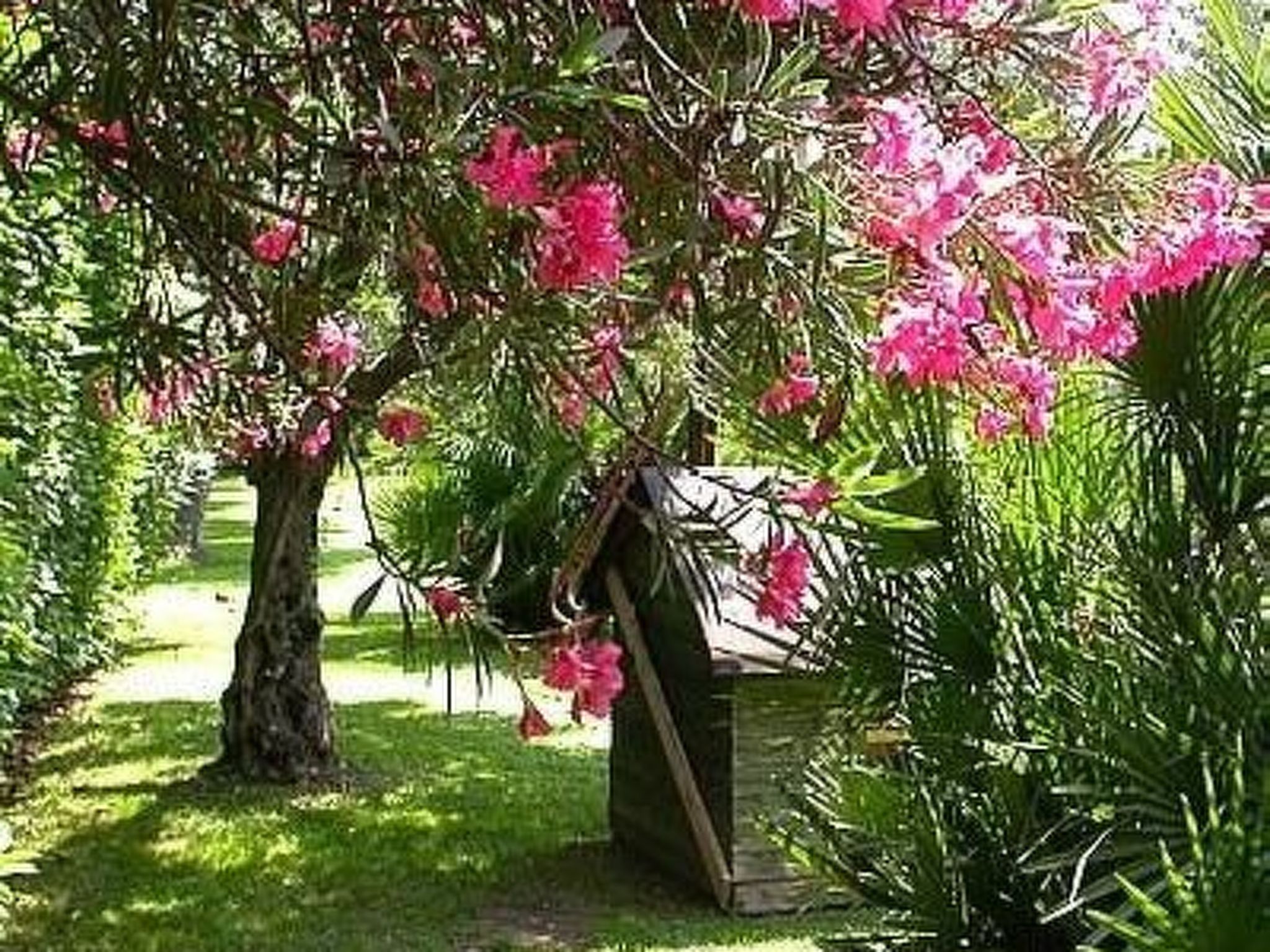 Photo of Wohnung in Strandnähe