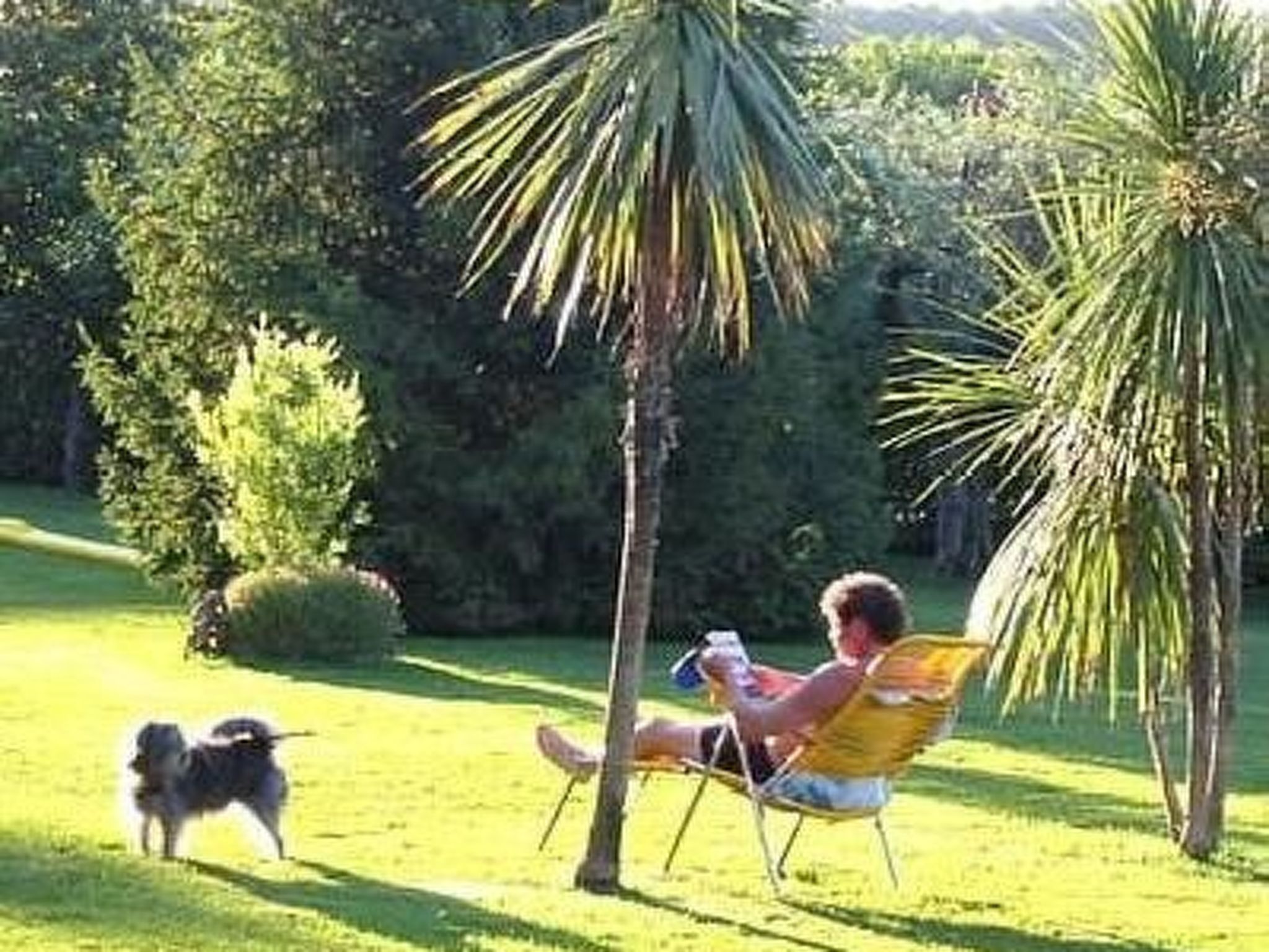 Photo of Wohnung in Strandnähe