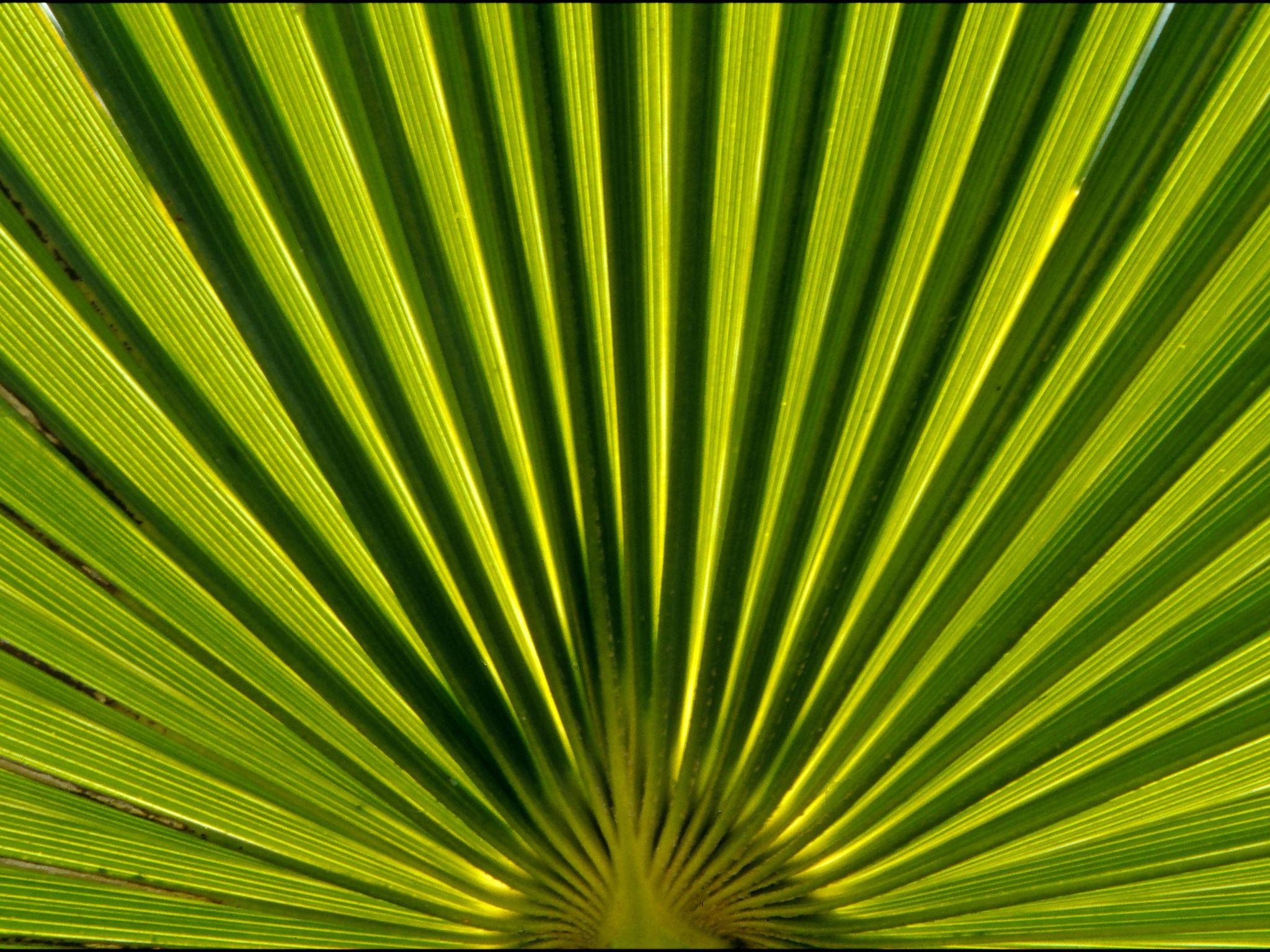Photo of Studio in Strandnähe
